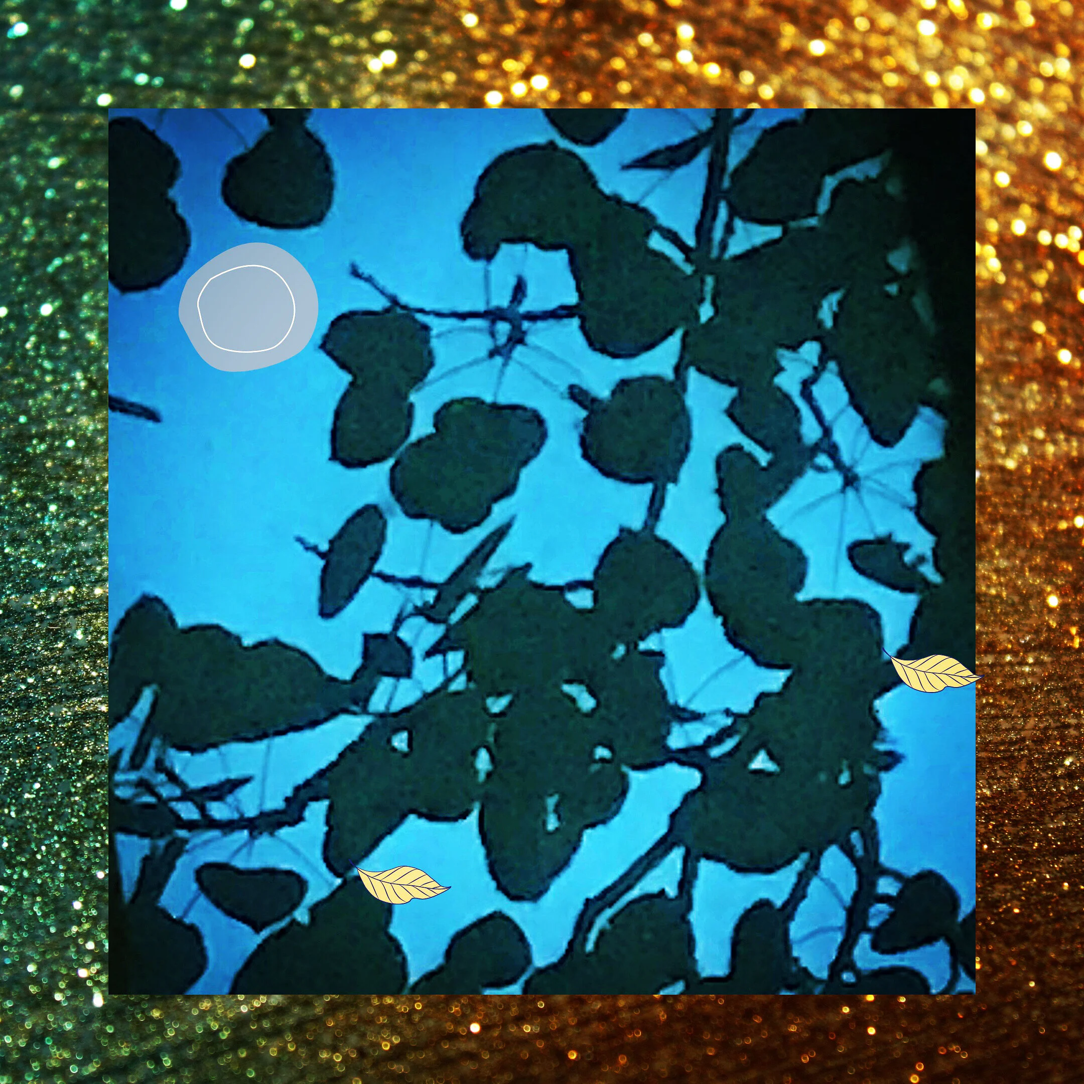 FRANK: Creative Agency: Words Are the Way In