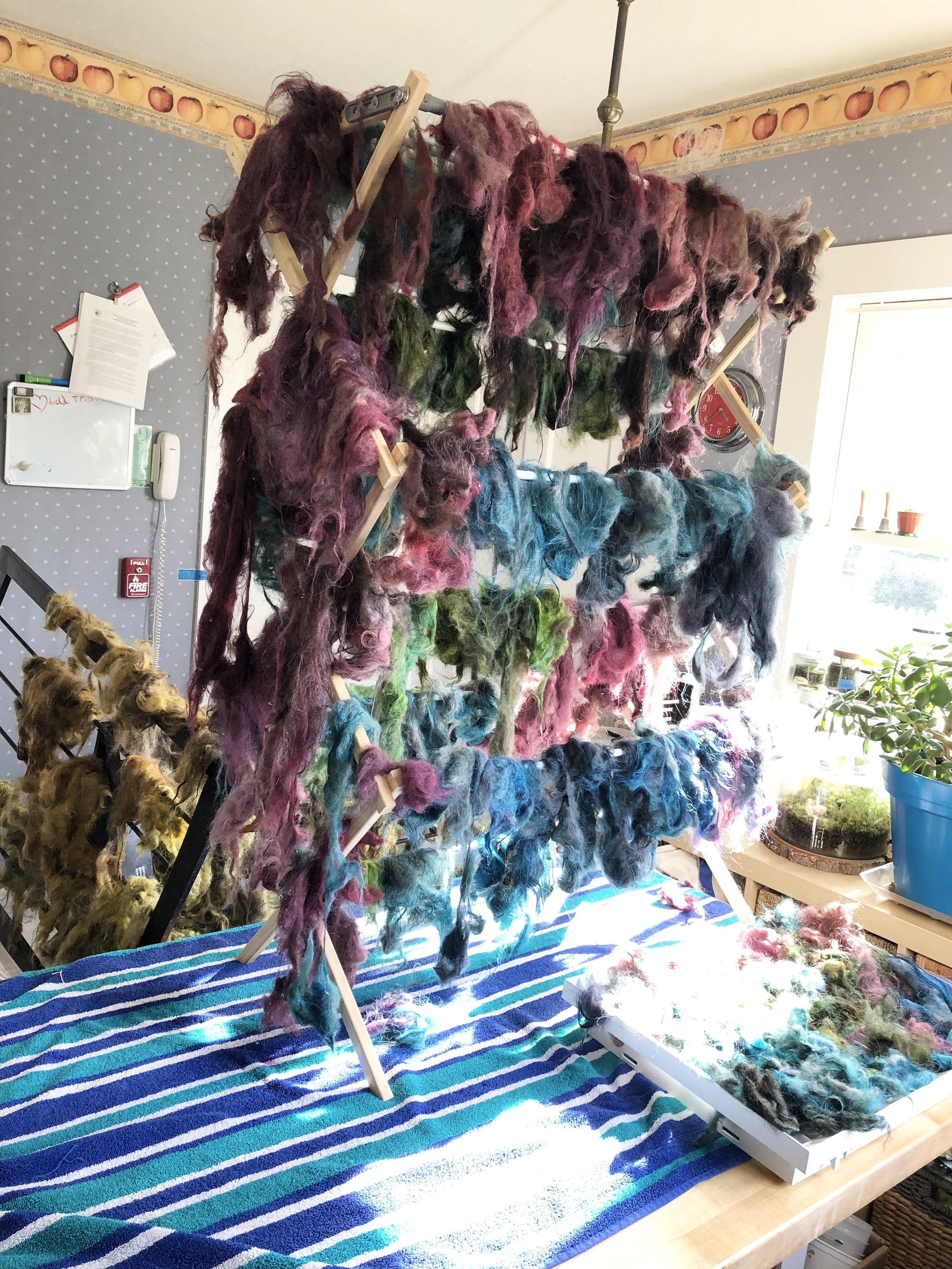 Dyed Wool  (Copy)