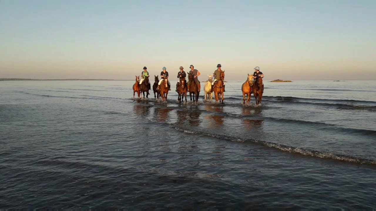 SeaHorse Polo Horseback riding and beach rides, Northern Ireland Tyrella