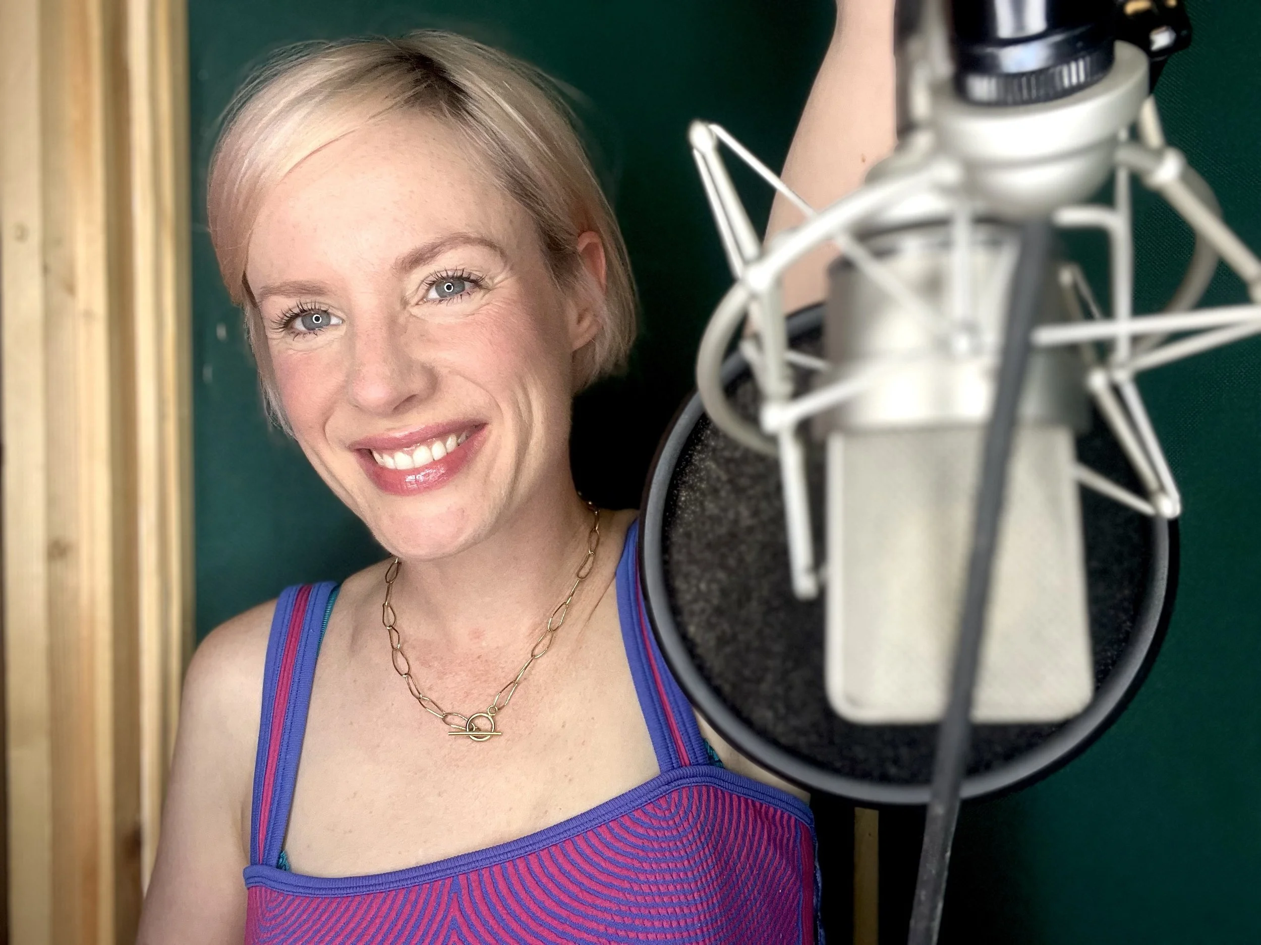 What exactly is a "broadcast quality home studio"? 