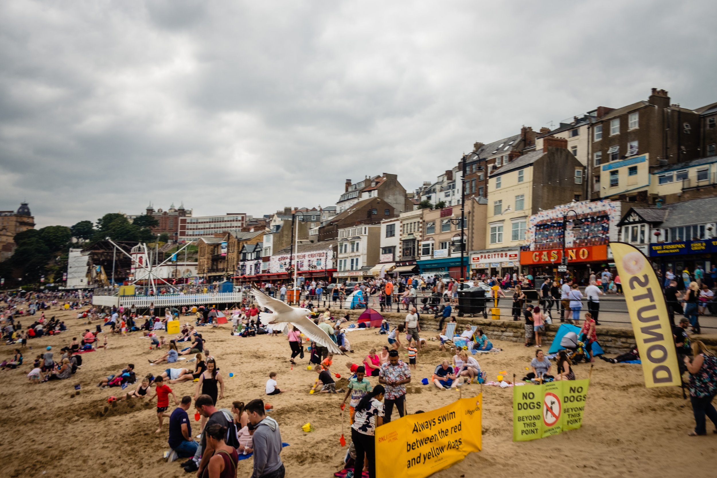 Scarborough_Seafest_2018-16.jpg