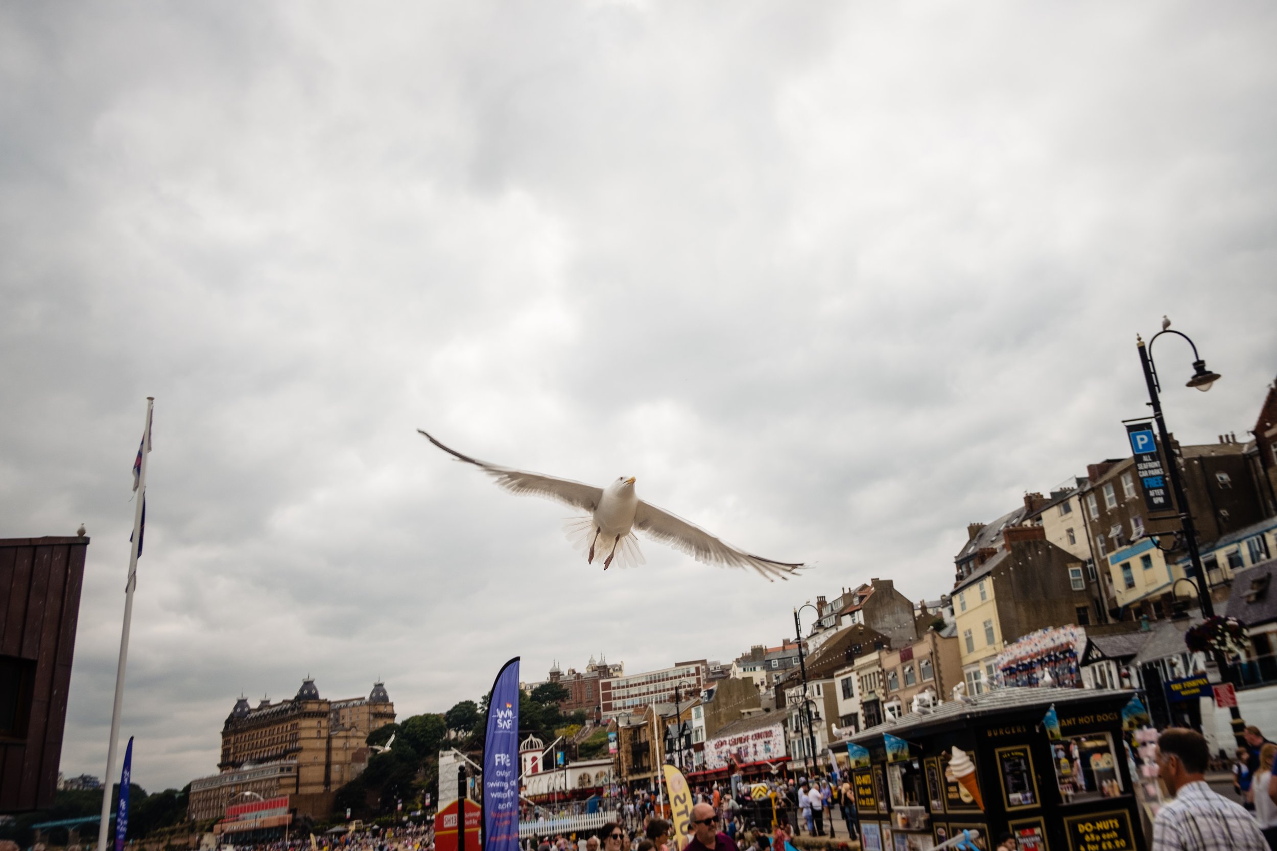 Scarborough_Seafest_2018-20.jpg