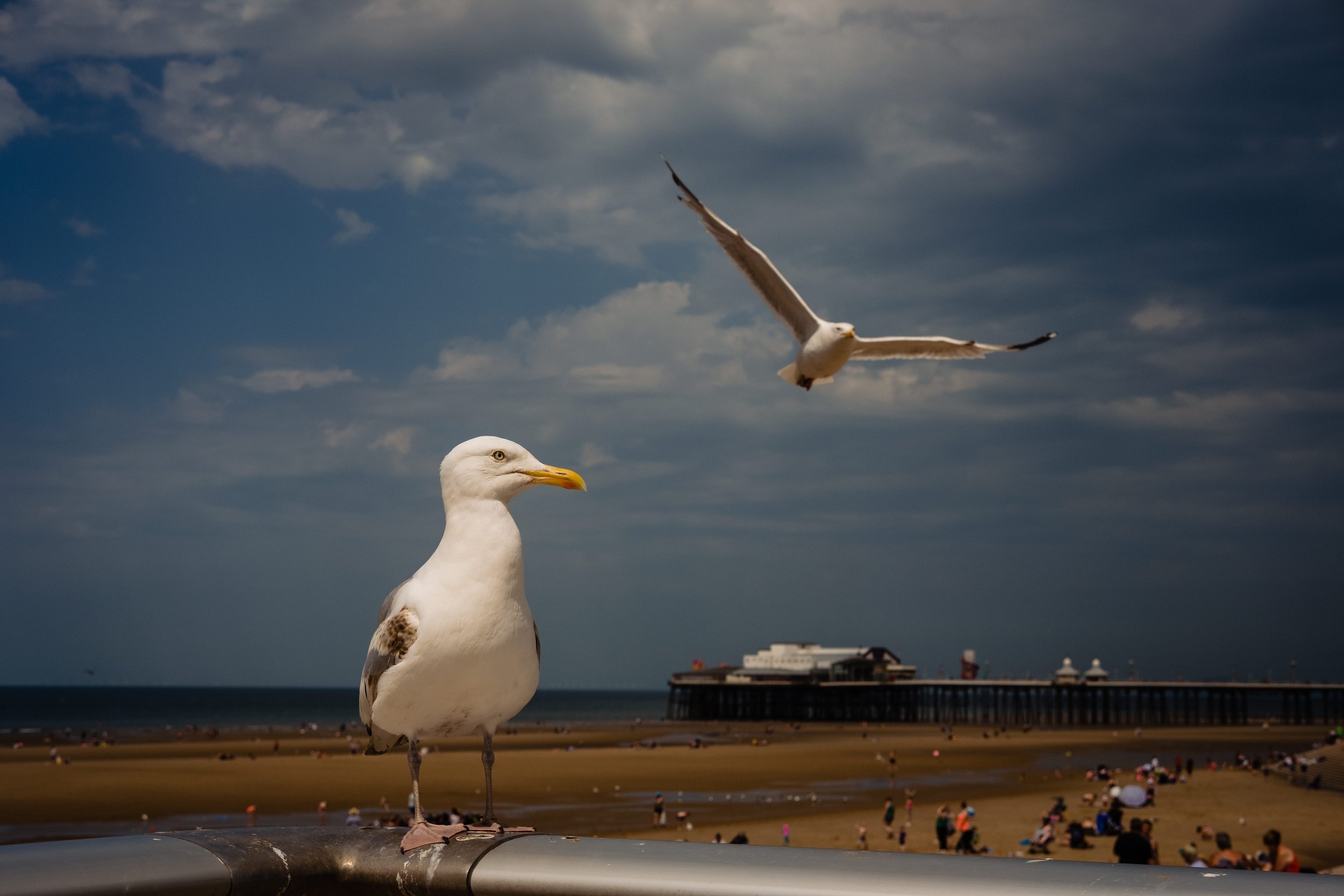 Blackpool_Street_Photography_July_2019-31.jpg