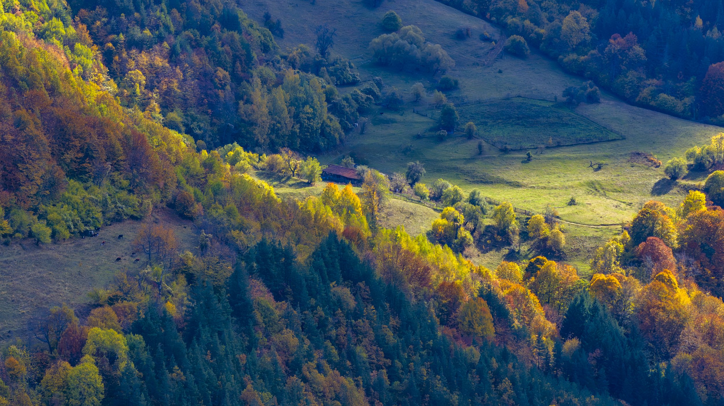 Rhodope Mountains, Bulgaria (Copy)