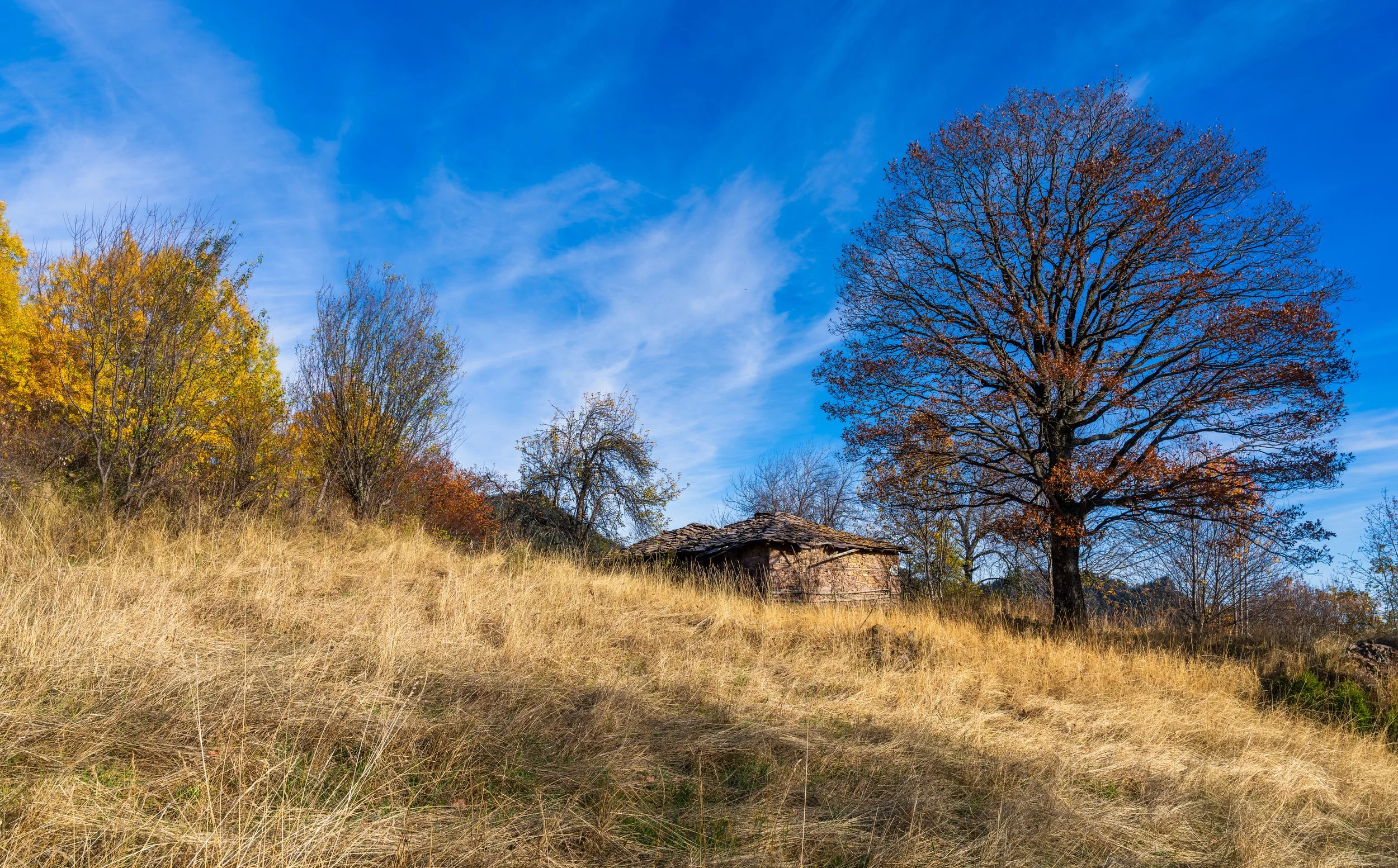 Autumn landscape in the Bulgarian mountains with a lone oak tree, colorful foliage, and an old stone house under a bright blue sky.