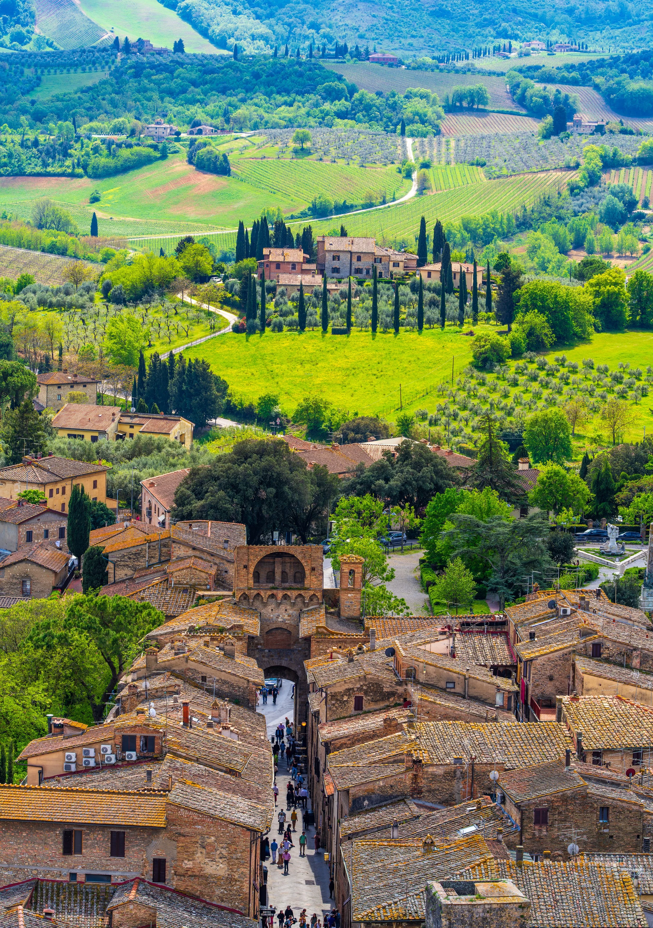 A panoramic view of the medieval town of San Gimignano overlooking the rolling hills, vineyards, olive groves, and cypress-lined landscapes of Tuscany, Italy. Fine art travel and landscape photography capturing the timeless beauty of one of Tuscany's