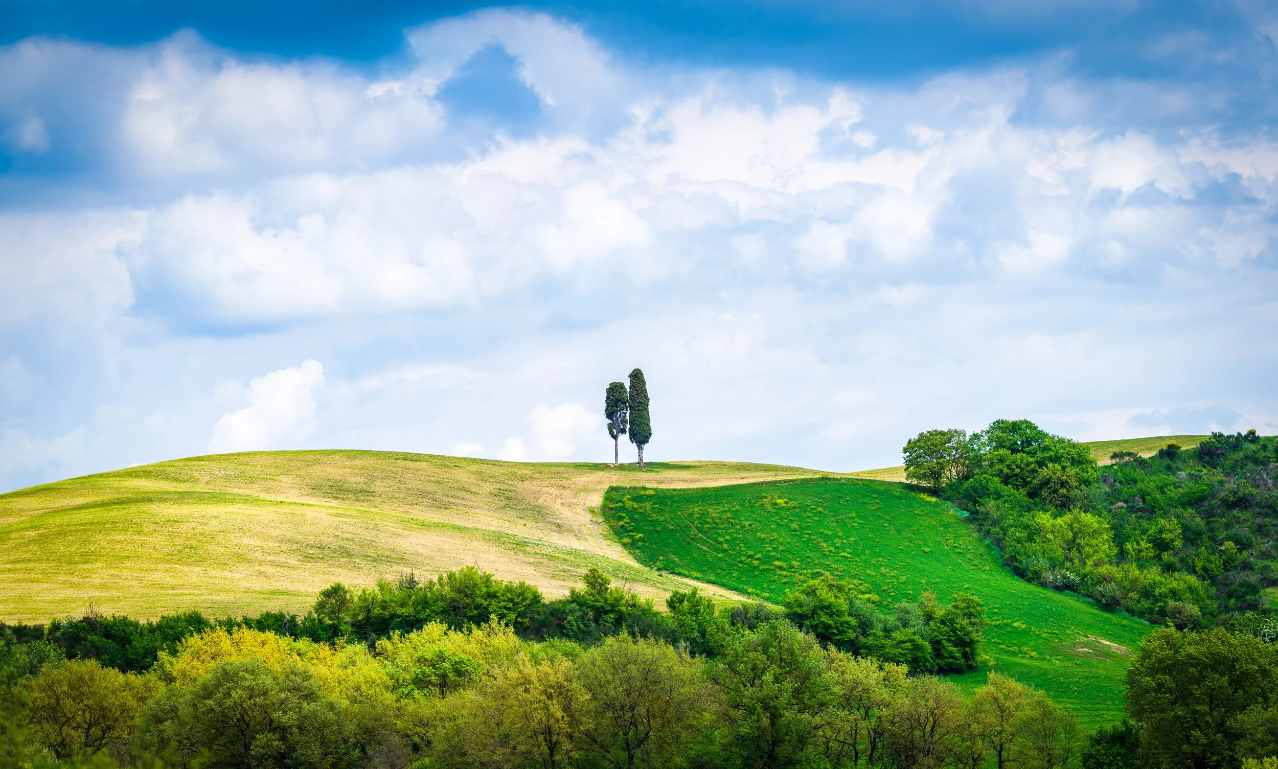 Scenic view of Tuscany’s rolling hills with vibrant green fields and two iconic cypress trees standing on the horizon under a bright blue sky with soft clouds. A classic and peaceful Italian countryside landscape, ideal for travel inspiration.