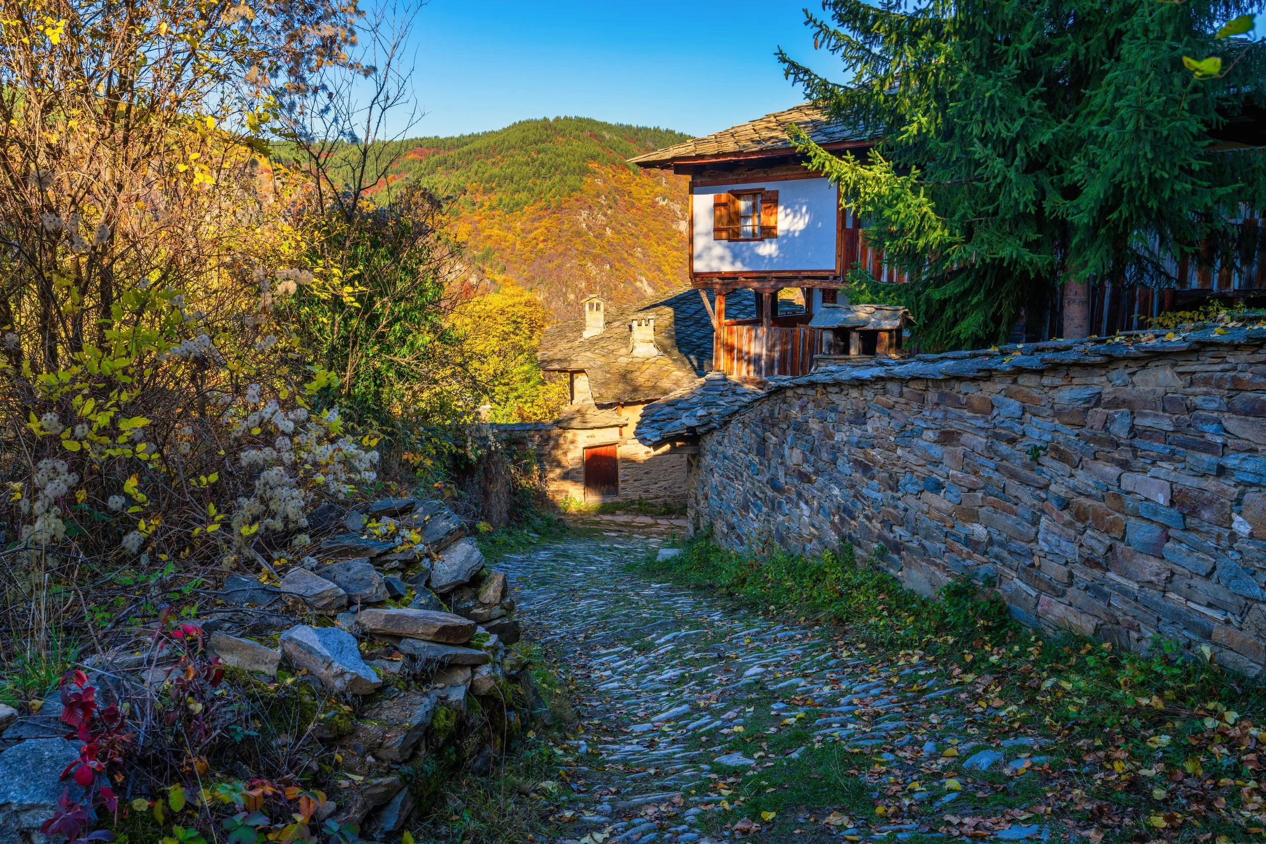 Traditional Bulgarian stone houses and cobblestone alley in a mountain village surrounded by colorful autumn forest under clear blue sky.