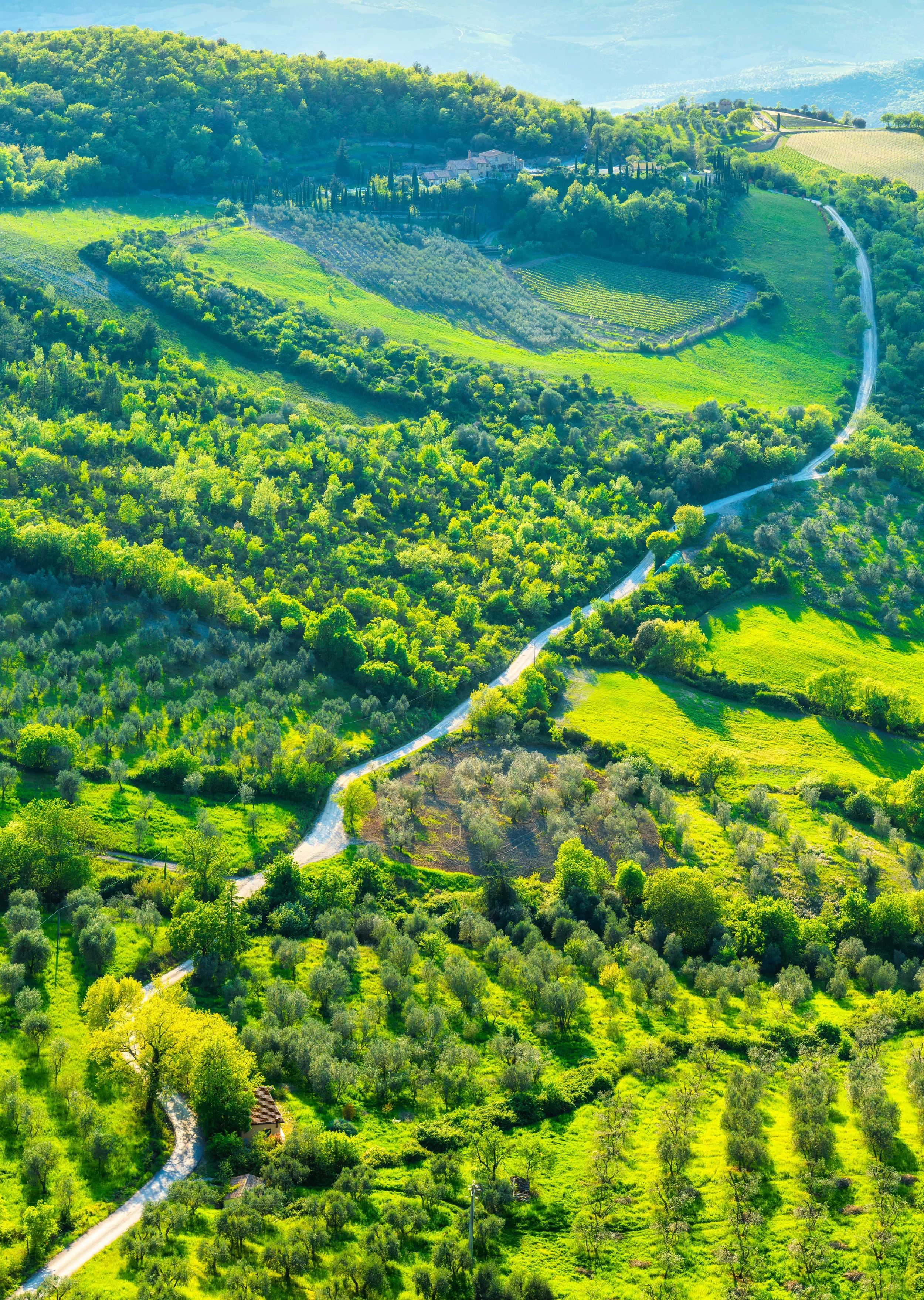 A breathtaking view of the rolling hills, olive groves, winding country roads, and traditional farmhouses in Val d'Orcia, Tuscany, Italy. Fine art landscape photography capturing the timeless beauty of the Tuscan countryside in spring.