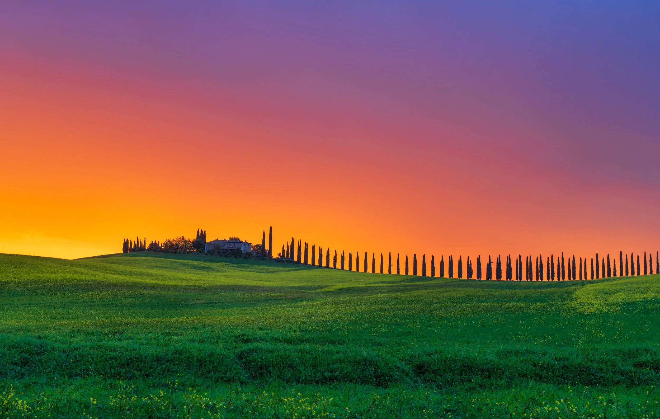 A breathtaking sunrise landscape in Tuscany featuring rolling green hills and a picturesque countryside villa lined with iconic cypress trees. Captured in vibrant early morning light, the sky transitions from deep blue to warm golden tones, creating 