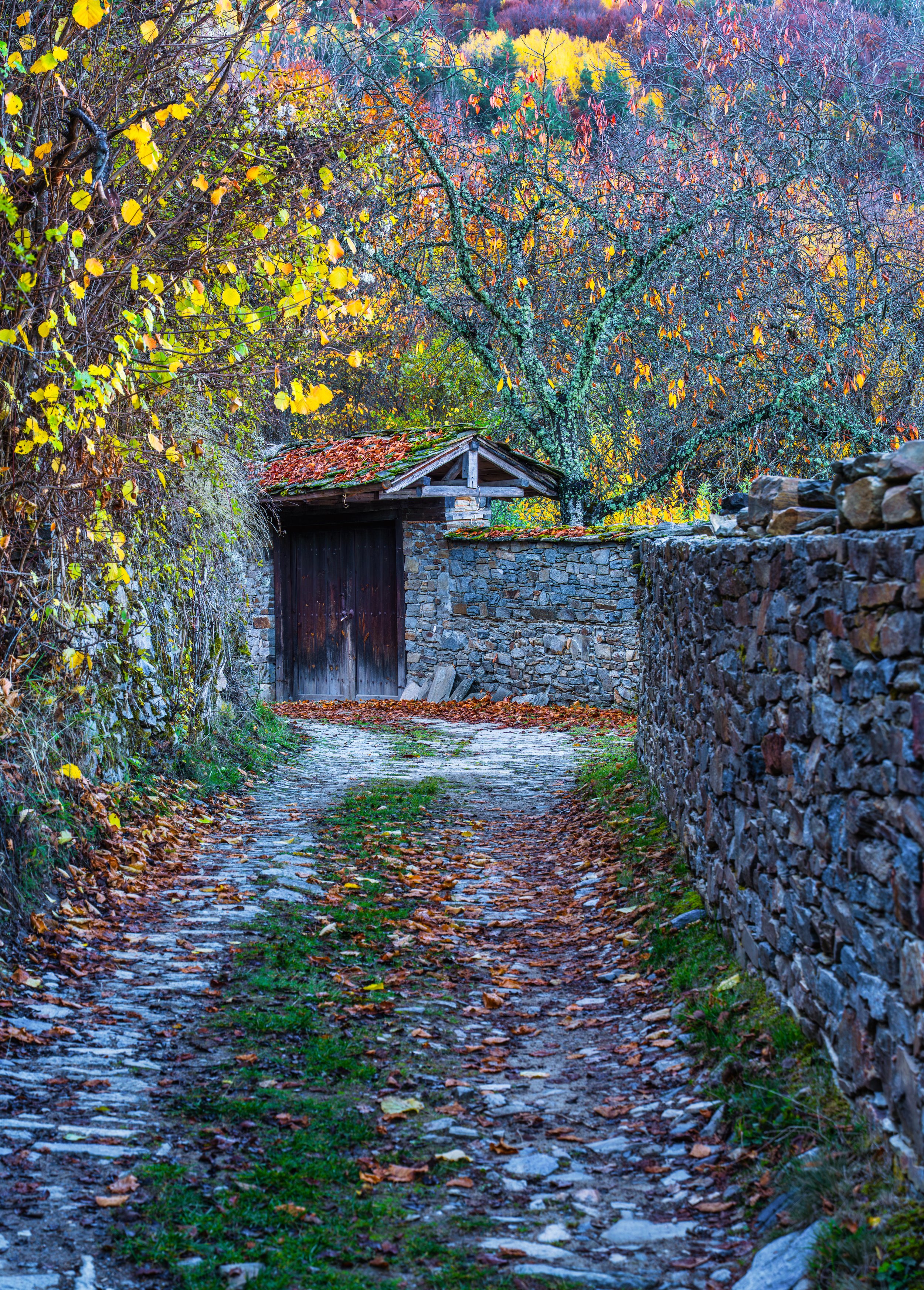 Old stone path leading to a wooden gate in a traditional Bulgarian mountain village surrounded by colorful autumn trees.