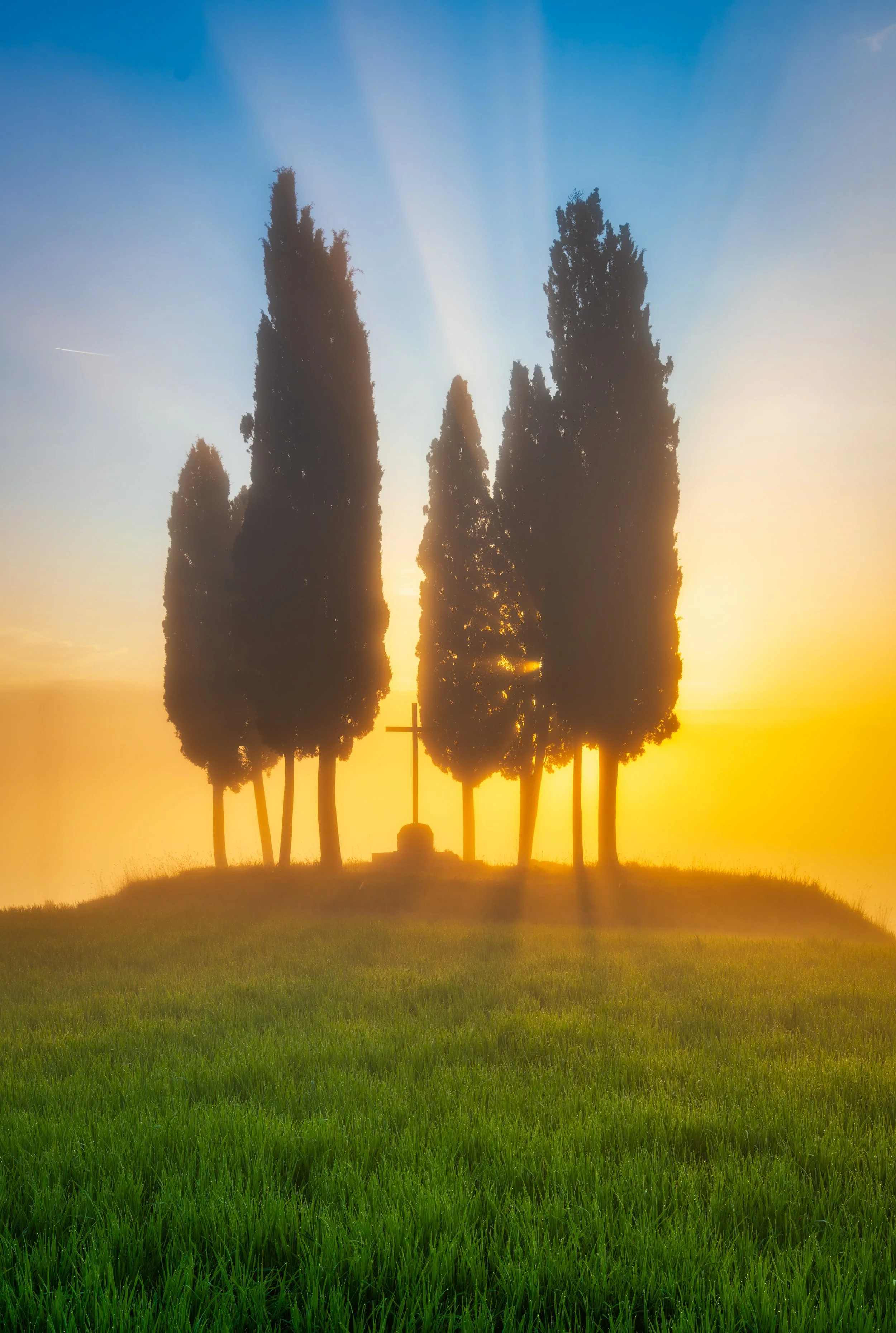 Golden sunrise illuminating the iconic Cipressi di San Quirico d'Orcia with dramatic sun rays over the rolling hills of Tuscany, Italy. Fine art landscape photography capturing one of Tuscany's most breathtaking and photographed locations.
