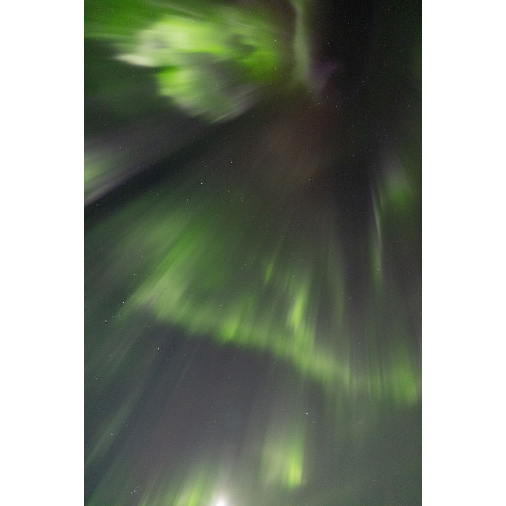 image_original_.png