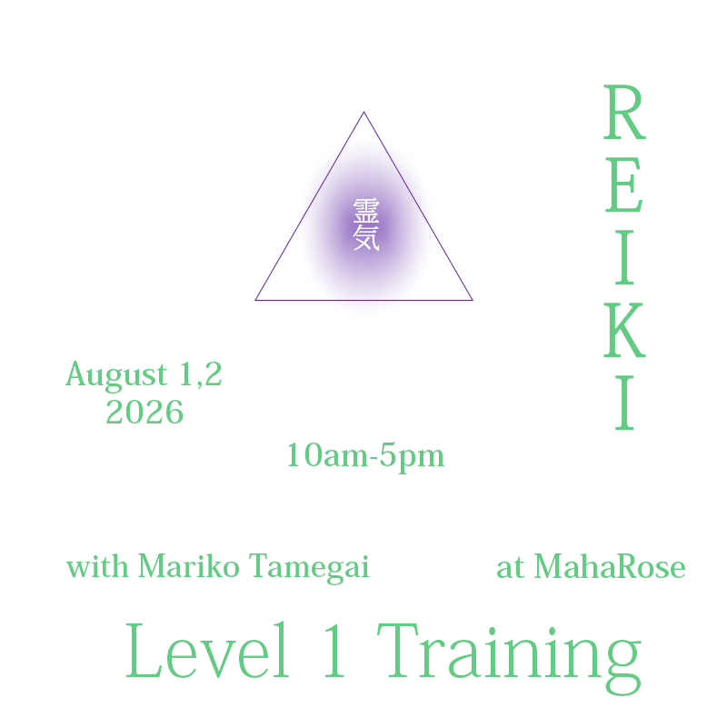 Reiki Level 1 training at MahaRose 