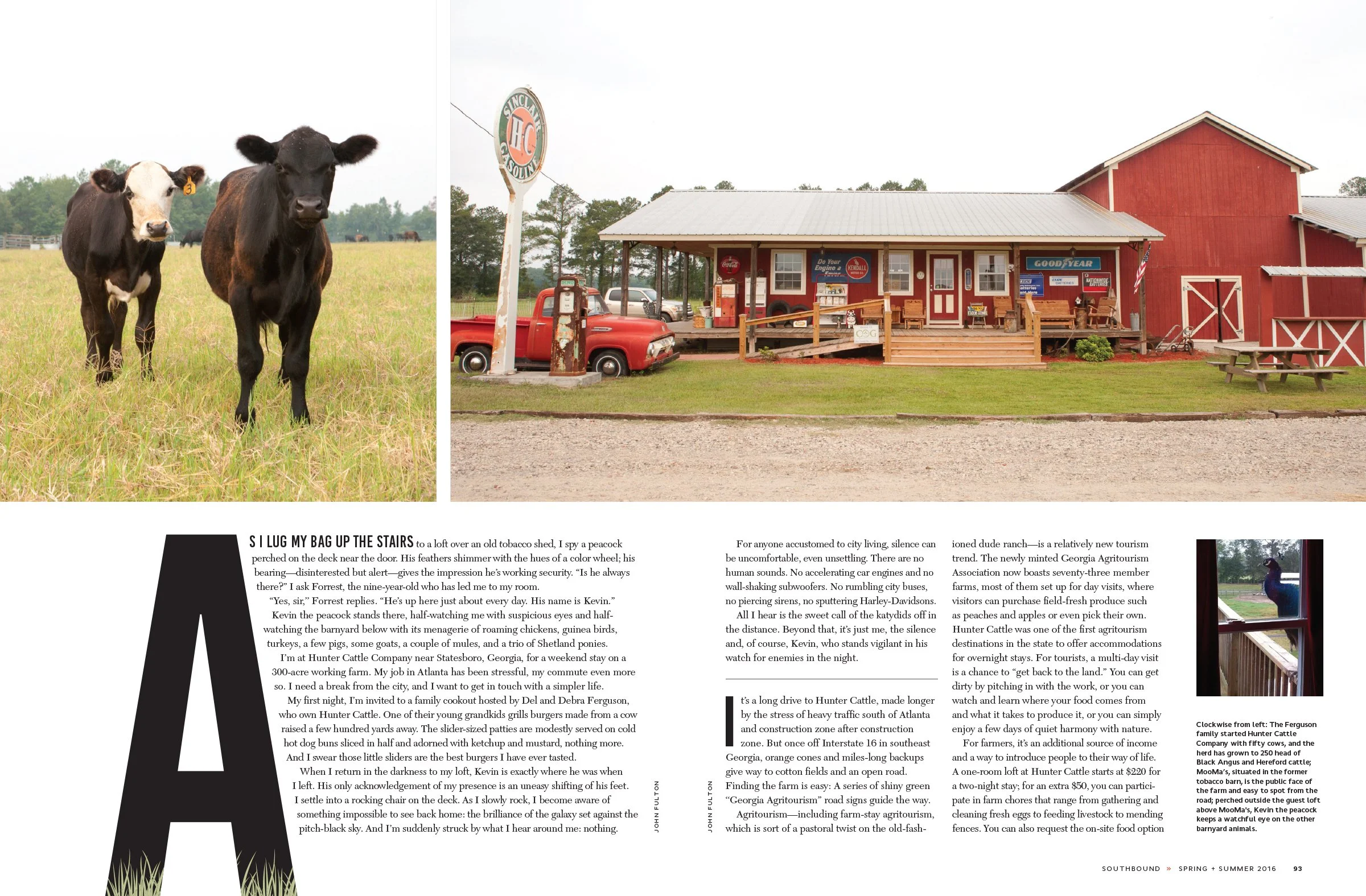 SB_SS16_BacktotheCountry_spreads-2.jpg