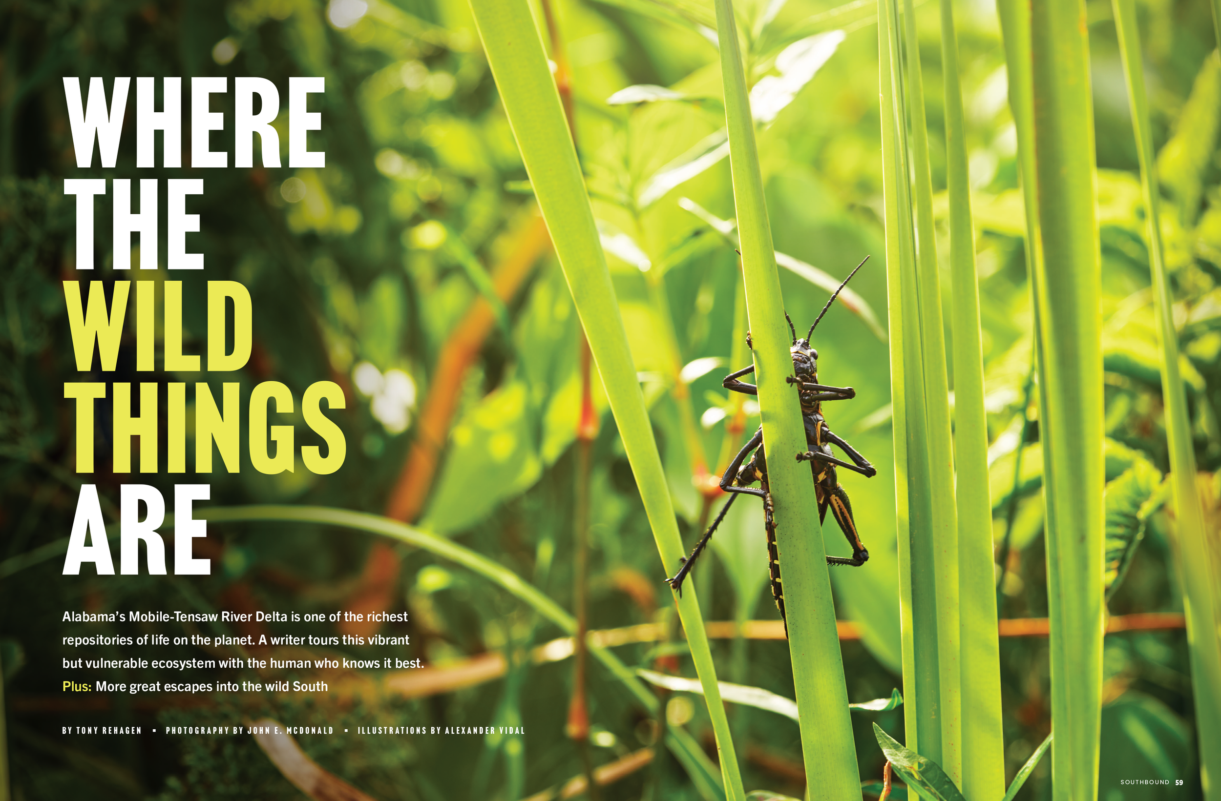 SB_FW22_Wild South_spreads-1.png