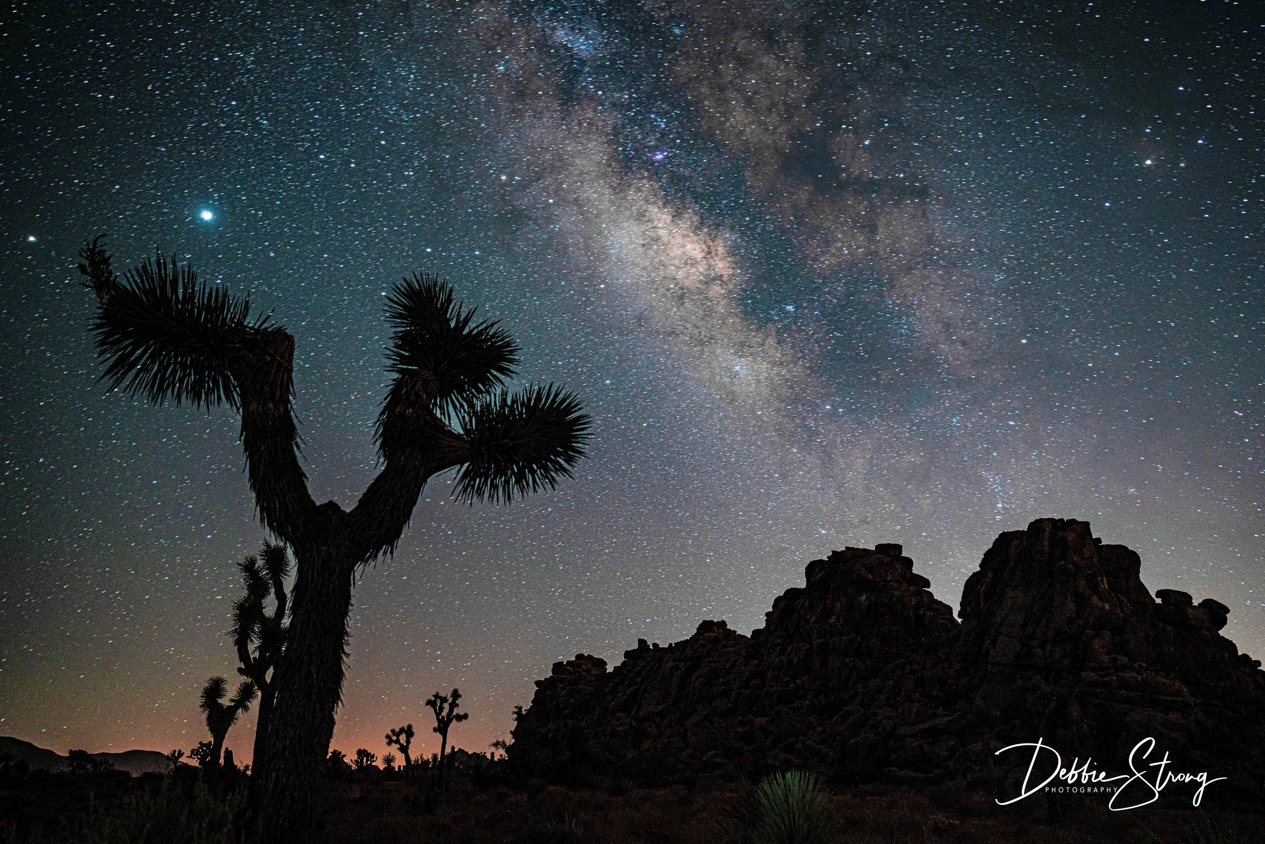 joshua tree night sky.jpg