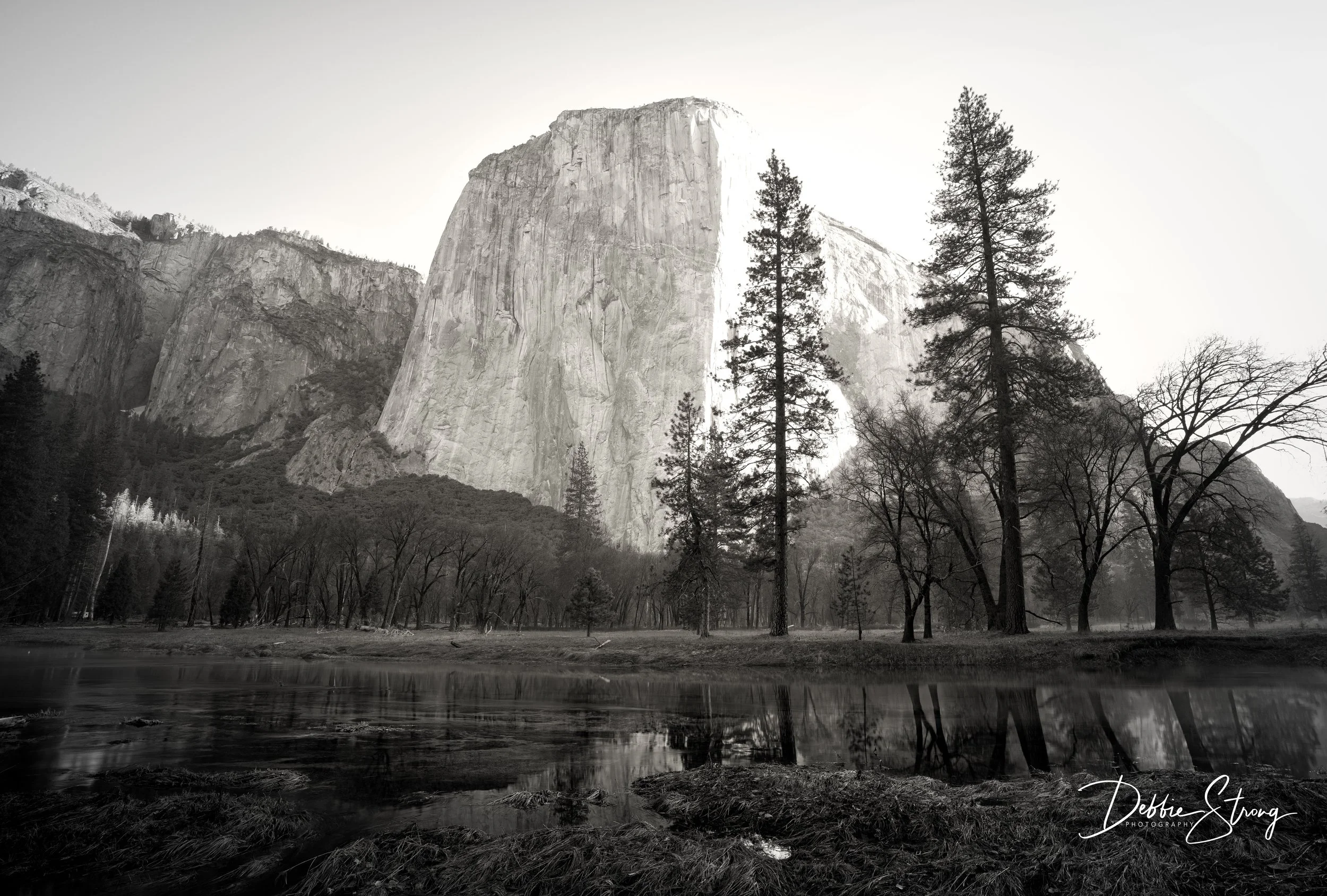Yosemite-4.jpg