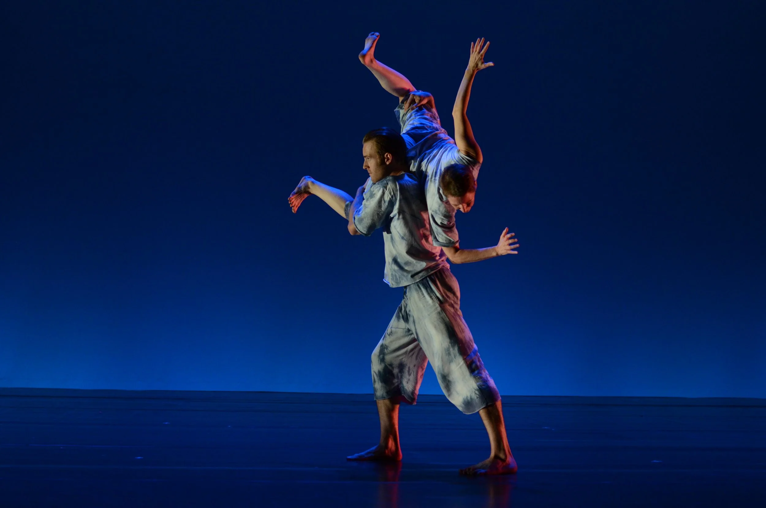 Newtons Cradle-carry.jpg