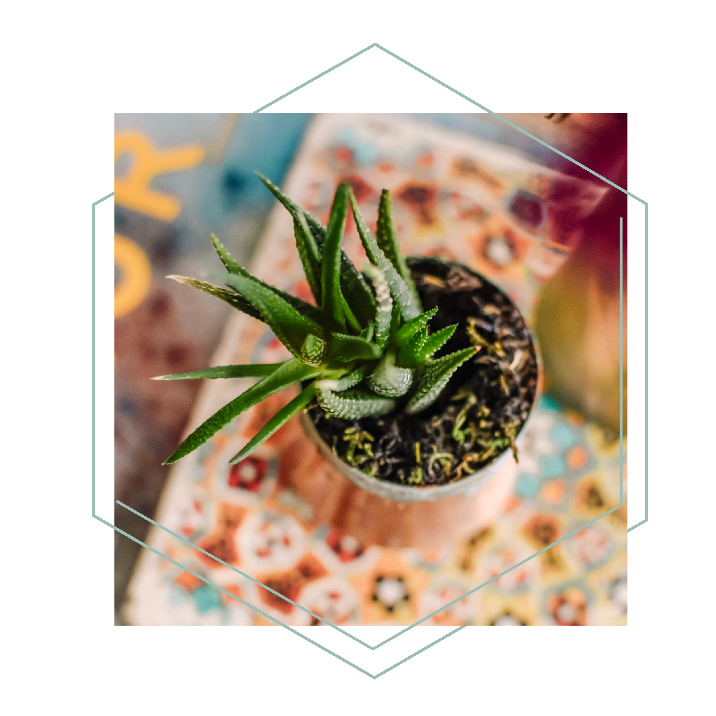 Beth Newell Holistic Health Coach in DC