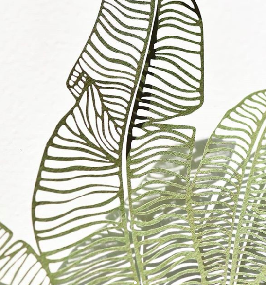 Coup de coeur pour Light and Paperali