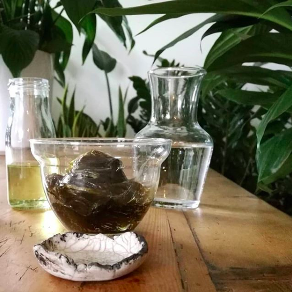 Une recette 100% naturelle anti cochenilles