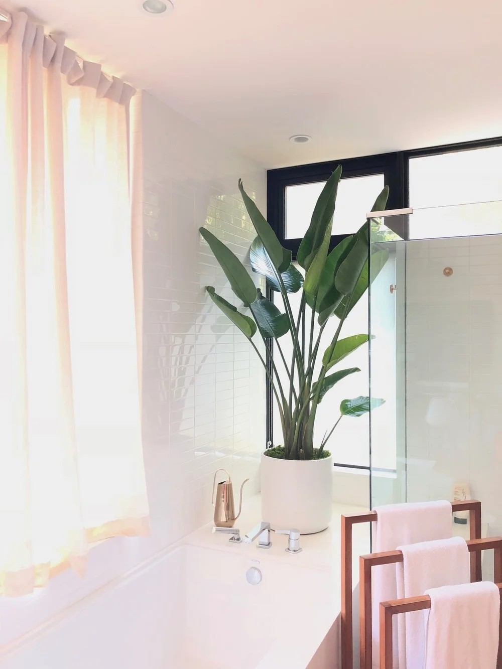 Les meilleures plantes pour la salle de bain