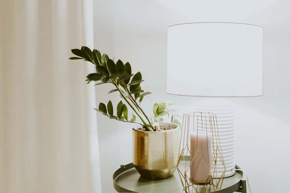 Lumière artificielle et plantes d'intérieur : comment ça marche ?