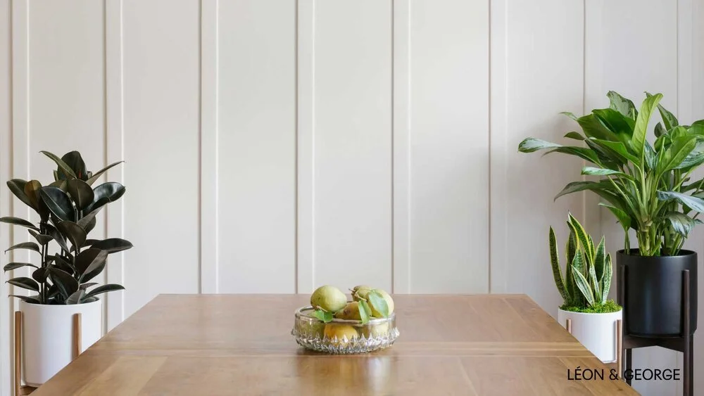 Un fond d'écran végétal pour mes réunions Zoom