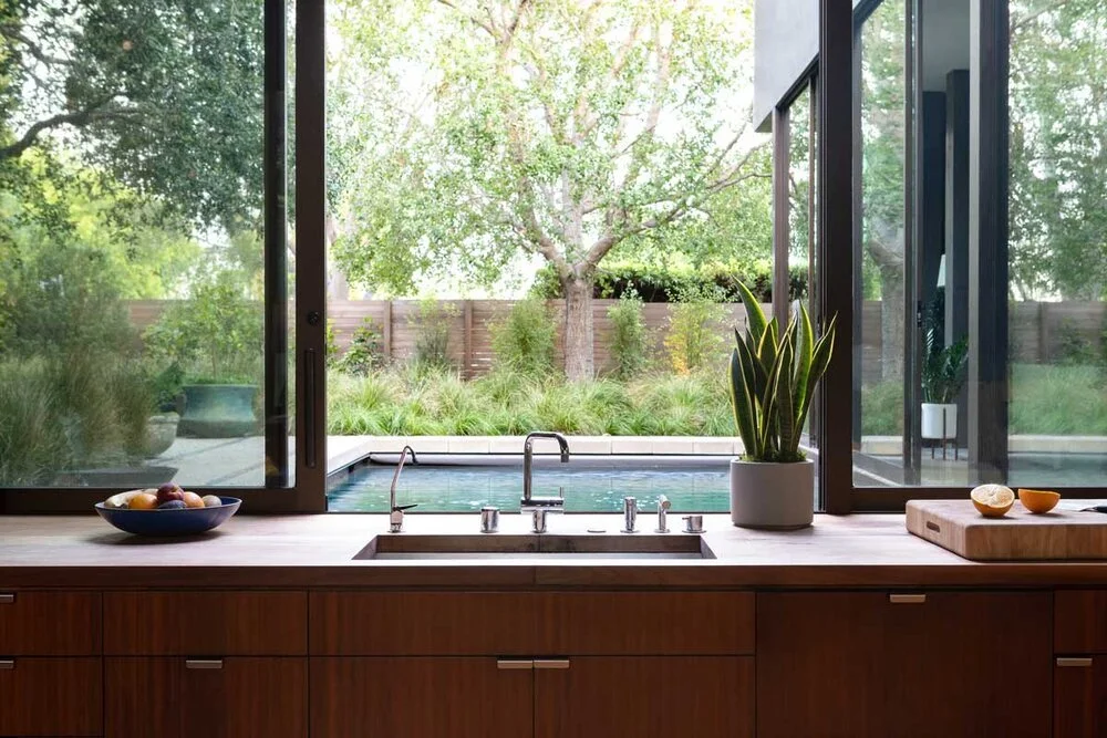 Quels ajustements apporter aux plantes vertes en été ?