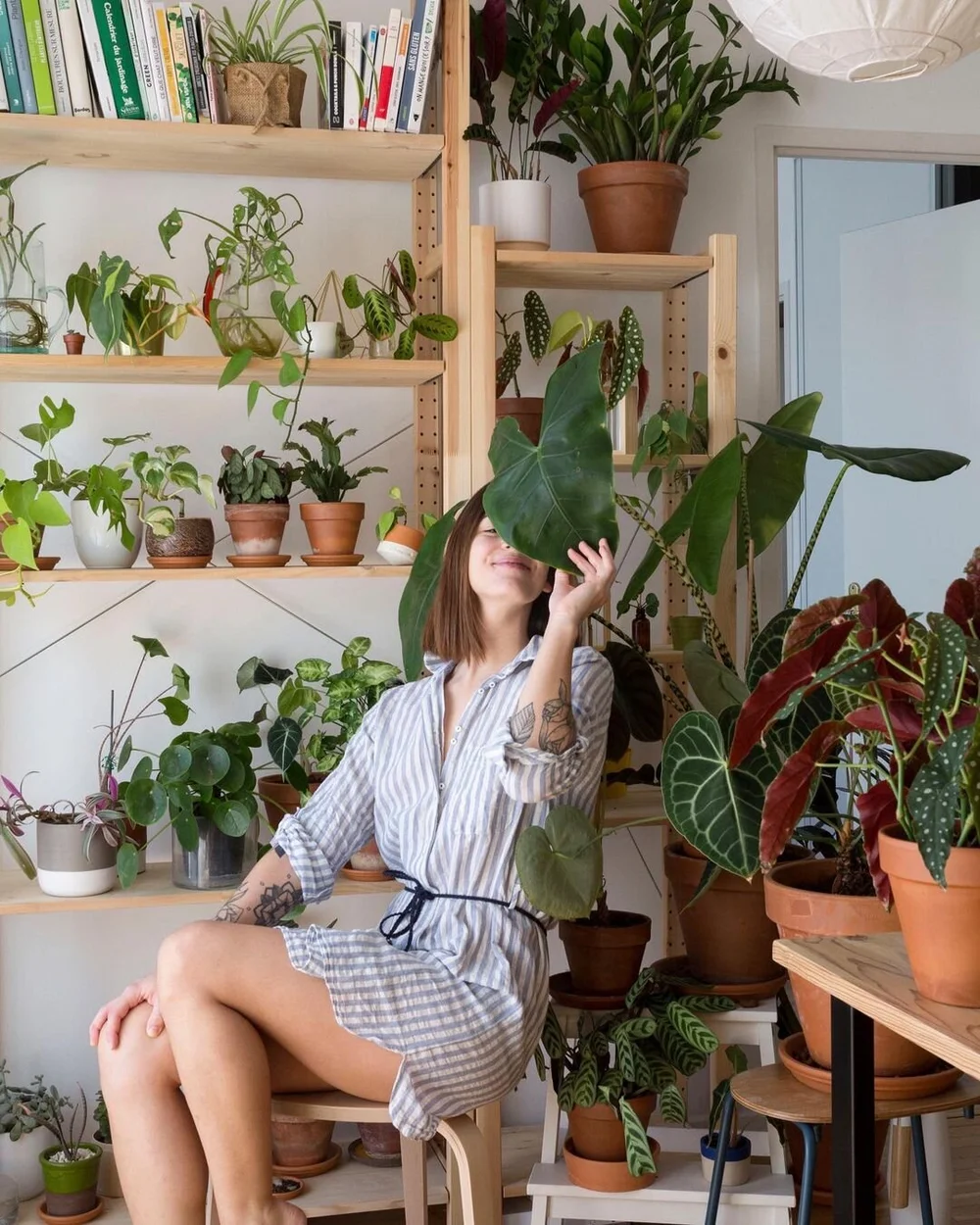L Amour L Ingredient N 1 Pour Avoir Des Plantes En Bonne Sante La Residence L Amour L Ingredient N 1 Pour Avoir Des Plantes En Bonne Sante La Residence
