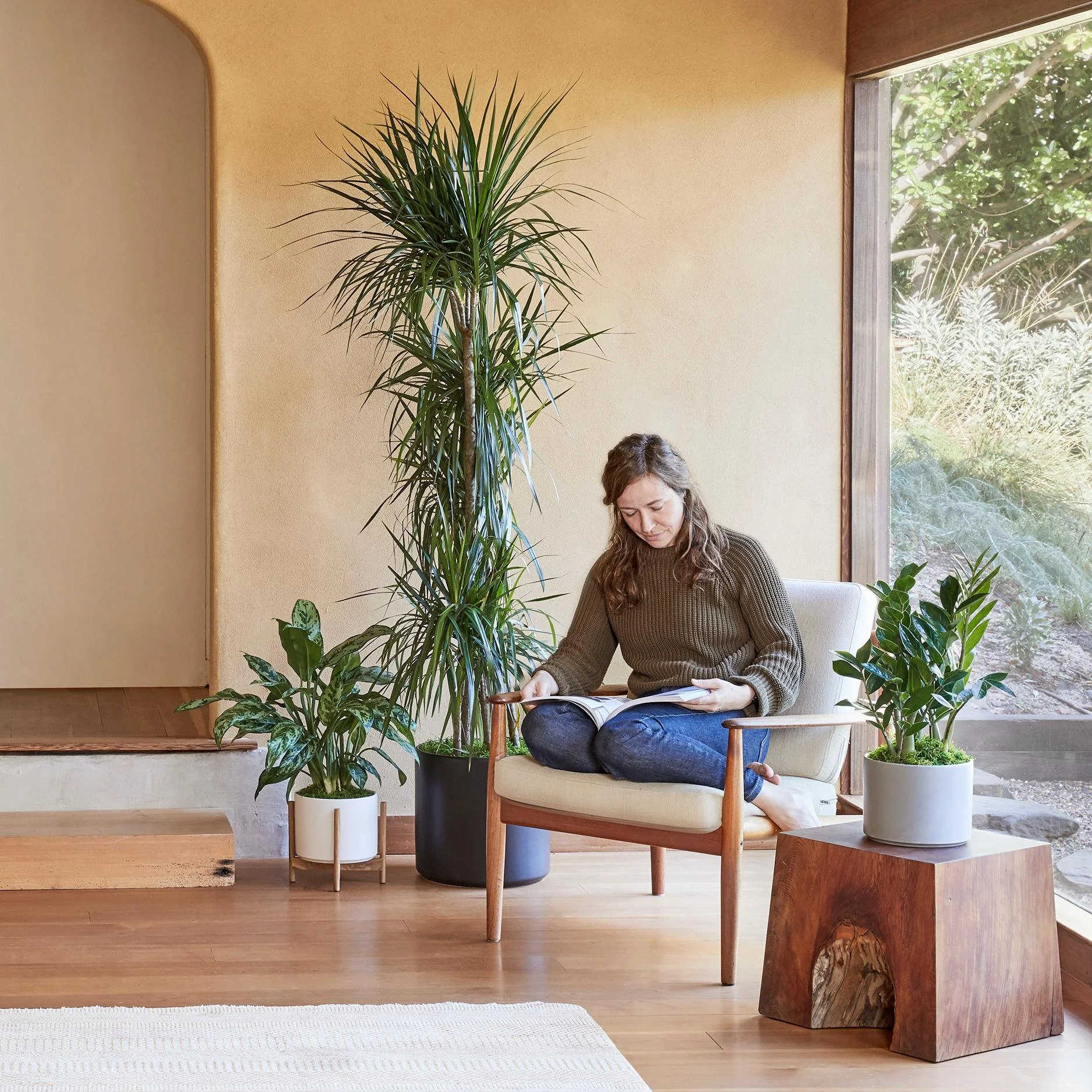 Plant care: 5 tips to prepare your plants to spring