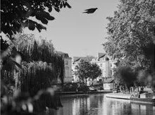 manofmetropolis_2019_noirinterlude6 (1).jpeg