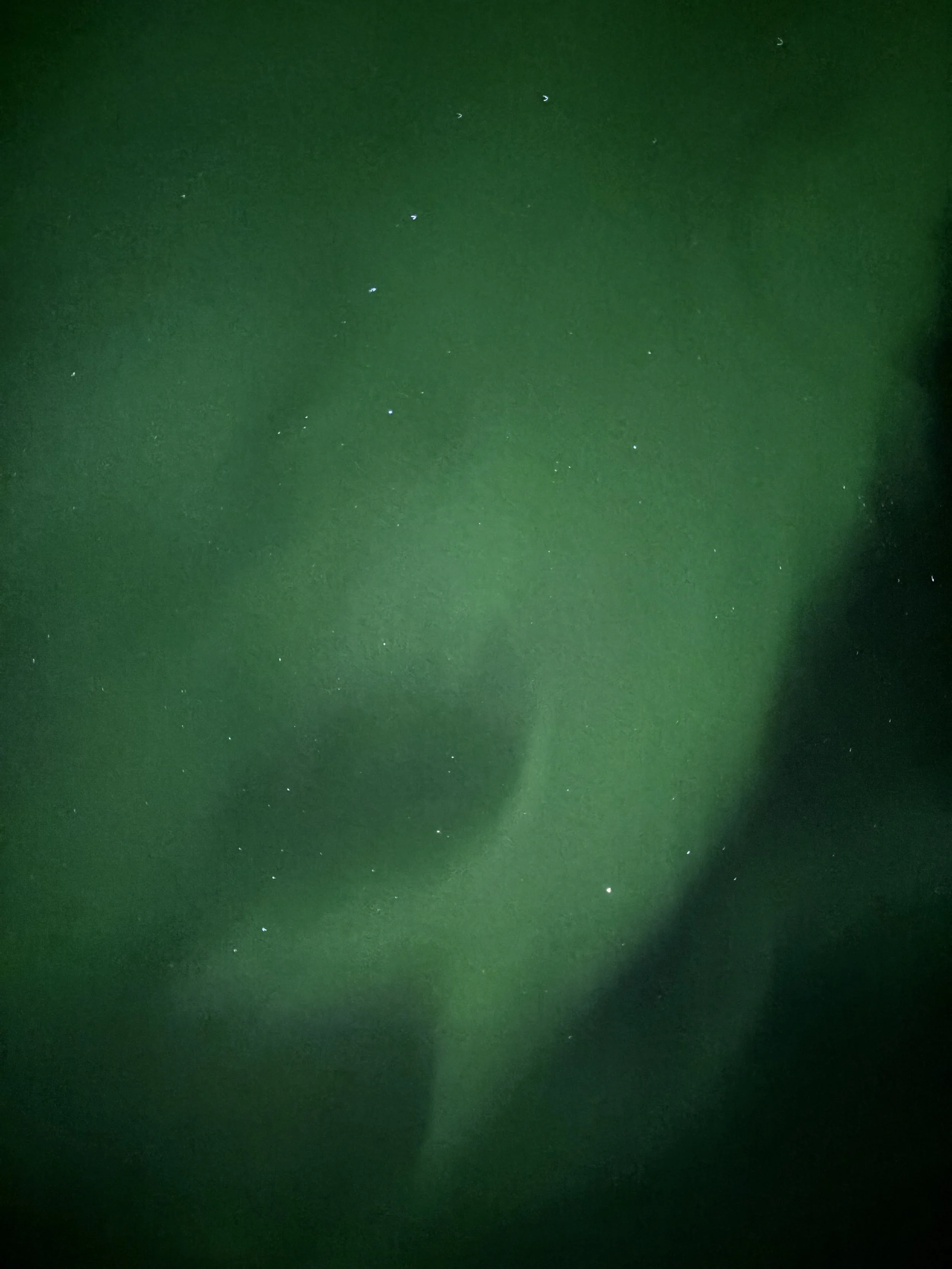 Northern lights.jpeg