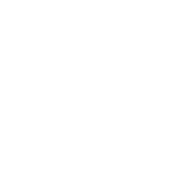 wmag_logo2019_applenews.png