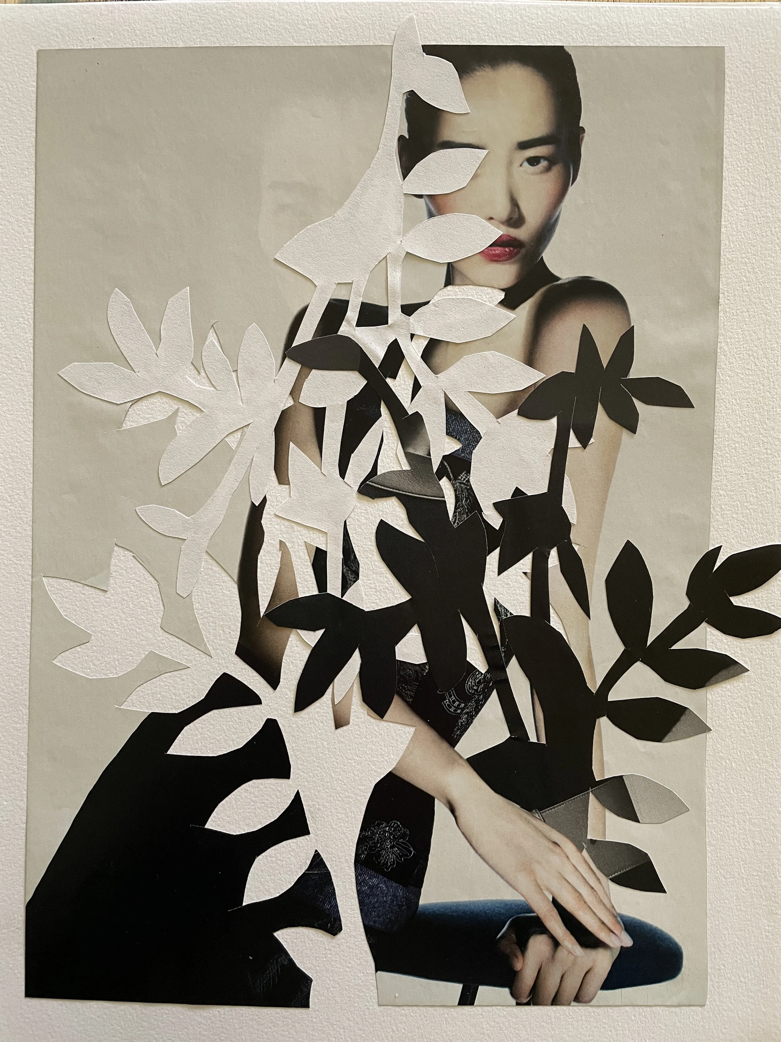 Virtual Studio - Women in Collage