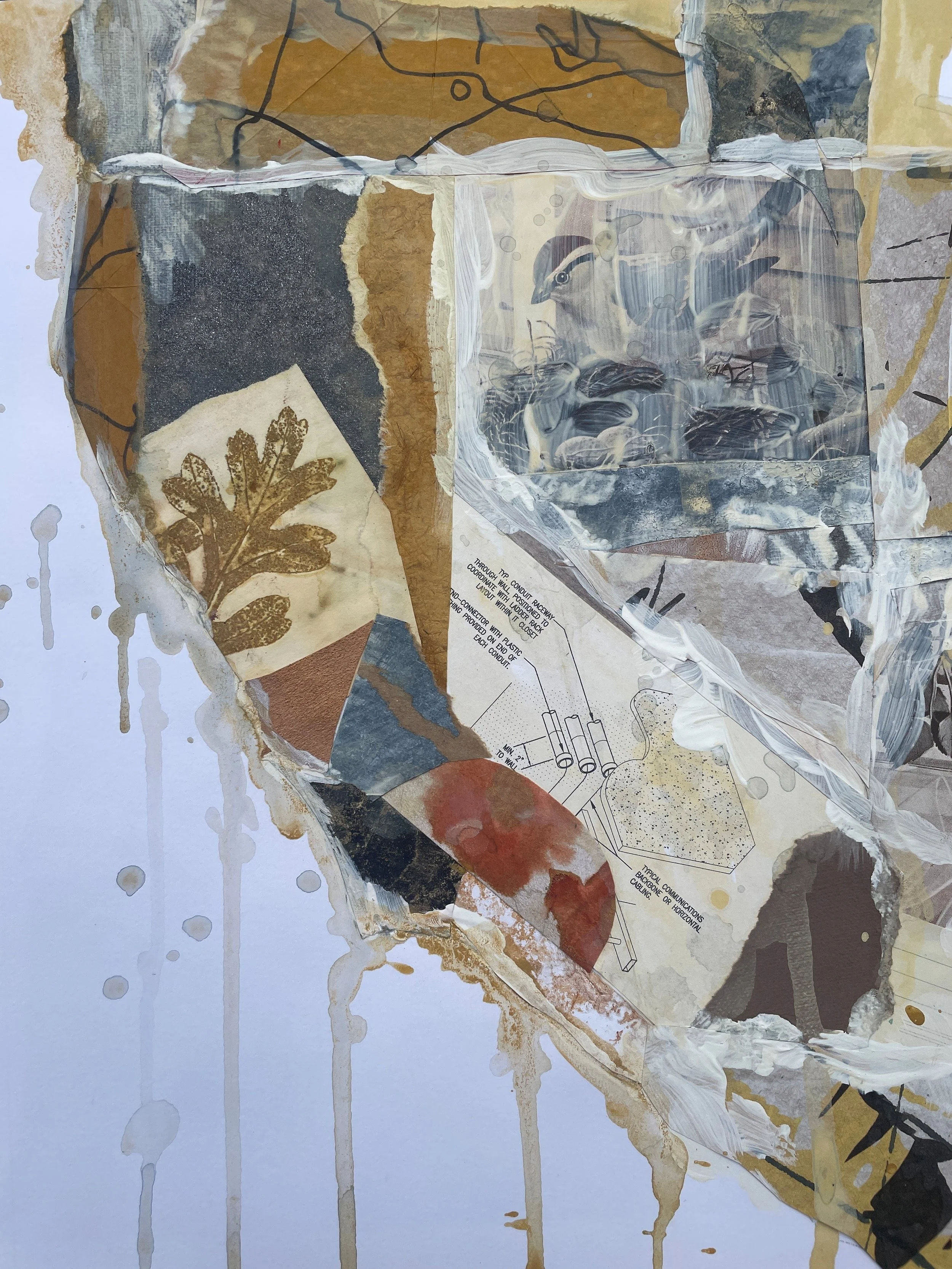 Virtual Studio - Women In Collage