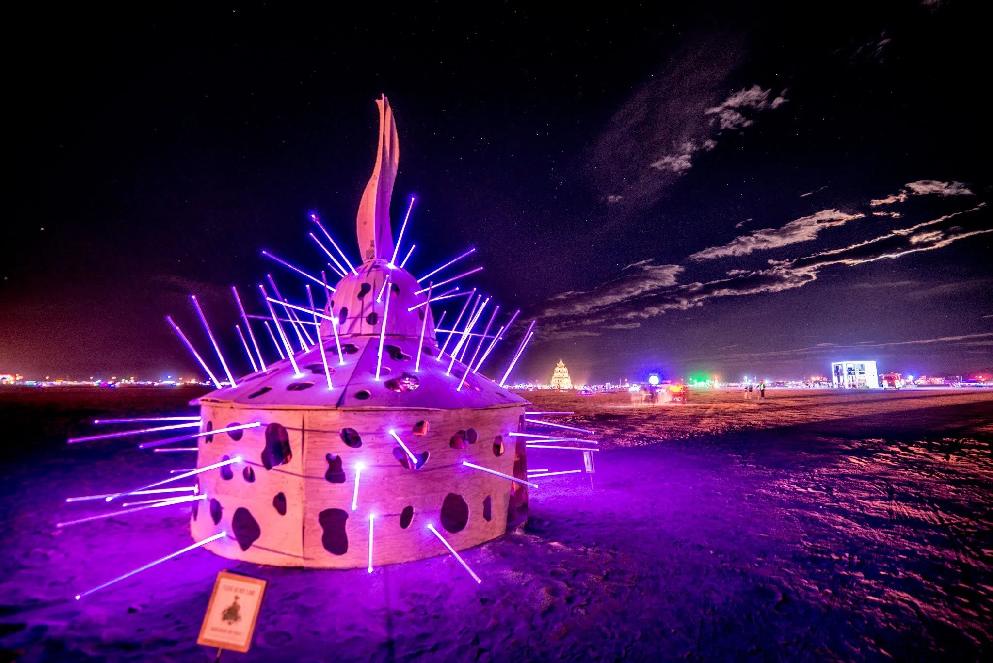 zooplankton night.jpg