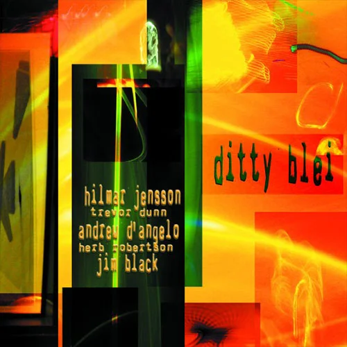 DITTY BLEI
