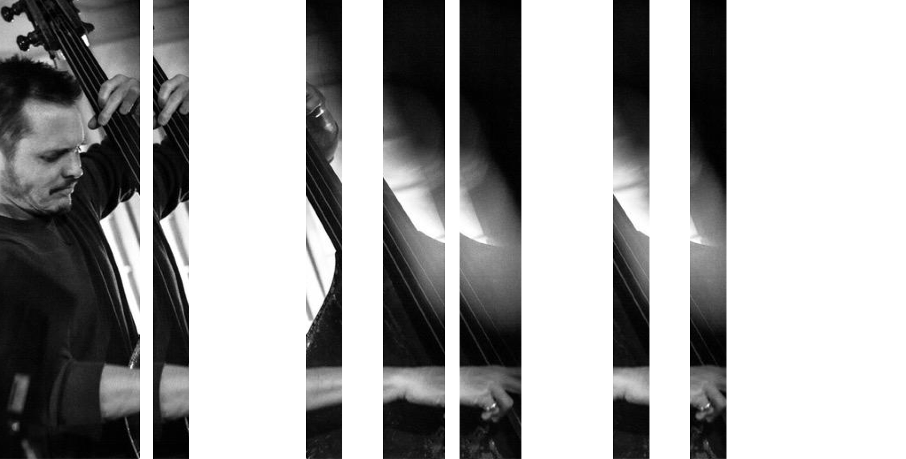 TrevorDunn-rhythm-banner.png