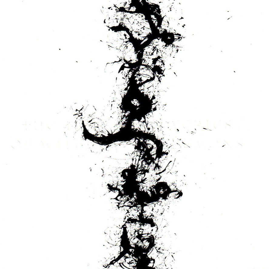 The True Discoveries of Witches &amp; Demons