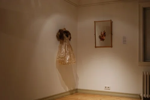 InstallationView SIM Gallery, Reykjavik, Iceland Left: Animal intestine and fur garnment created for Trifle II. (Performance Installation), Right: Trifle I. (Untitled), Collage on mirror