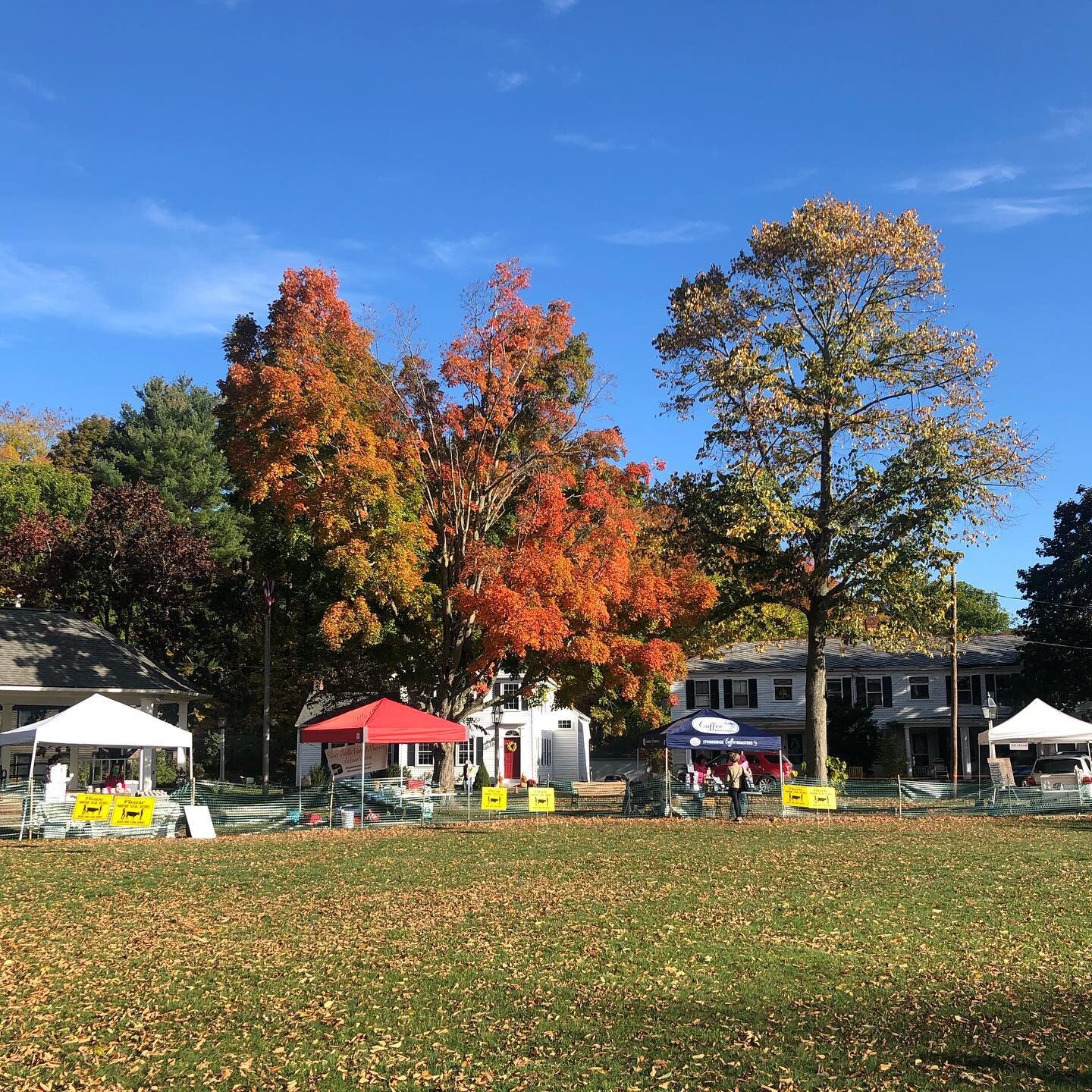 Come join us for the last Market of the Season! Lots of fresh produce, meat, breads, cheese, sweet treats, wine, cider, honey, maple syrup, ice cream, coffee and soap!