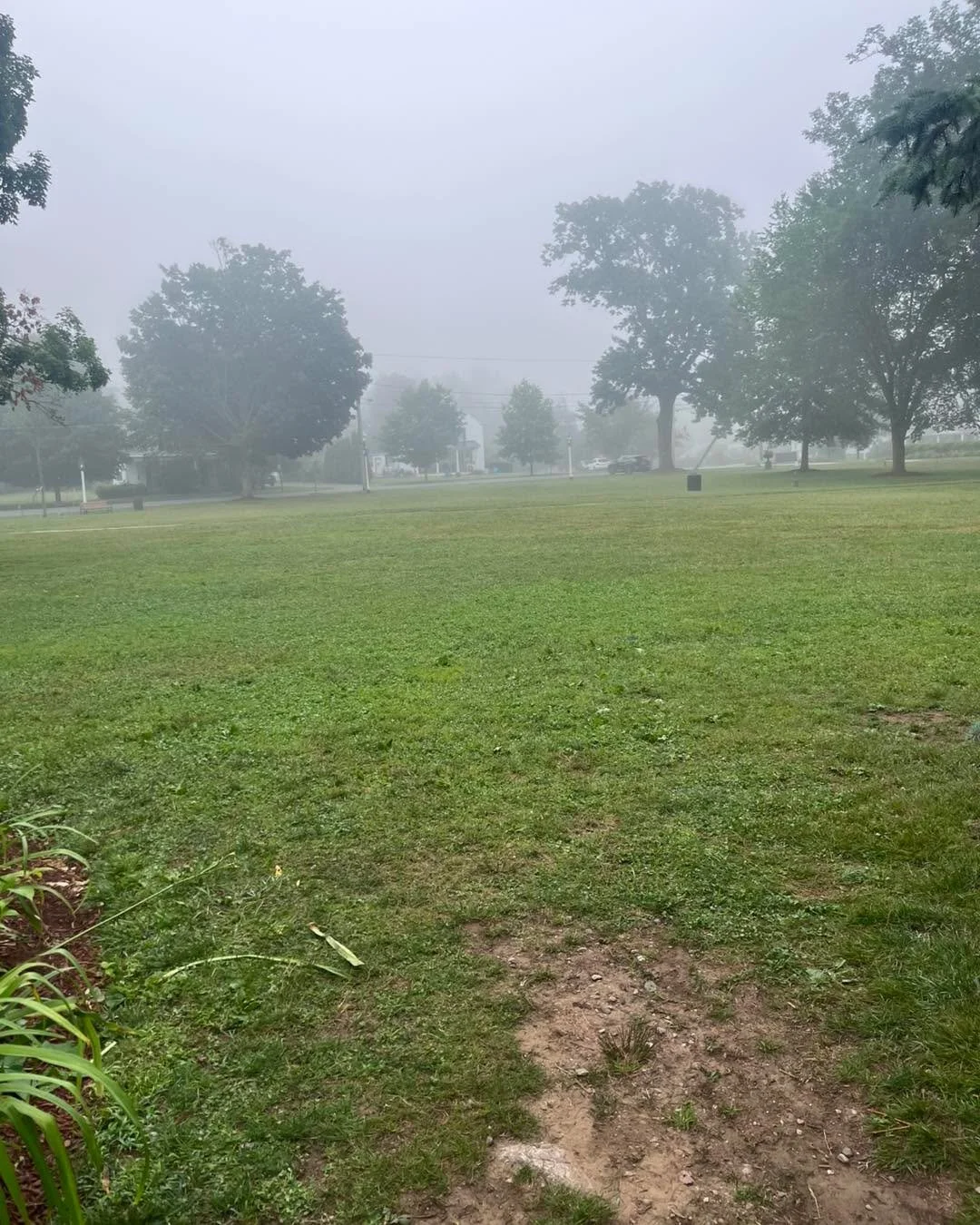 ☁️Quite a foggy morning down here on the Common! Looks like a warm day, and no rain. 

🩷Hope to see you all soon!

#earlymorning #farmersmarket #localproduce #localvendors #whattodo #livemusic