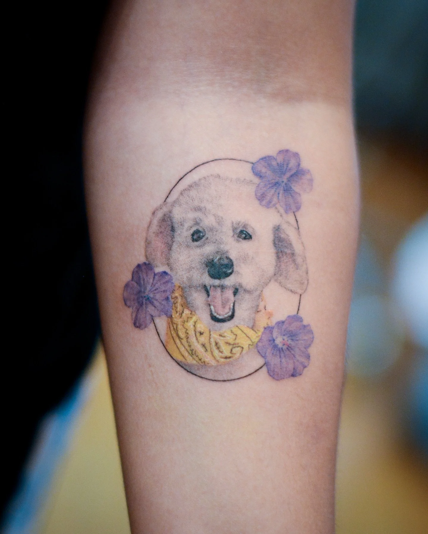 🐶💐- the booking link in my bio. @tattooist_jason @area6tattoostudio 
.
.
.

#tattooist_jason #area6tattoostudio #tattoo #tattooing #tattooartist #tattooist #tattoonyc #nyctattoo #tattooed #linework #dogpaw #pet #animaltattoo #smalltattoos #tinytatt