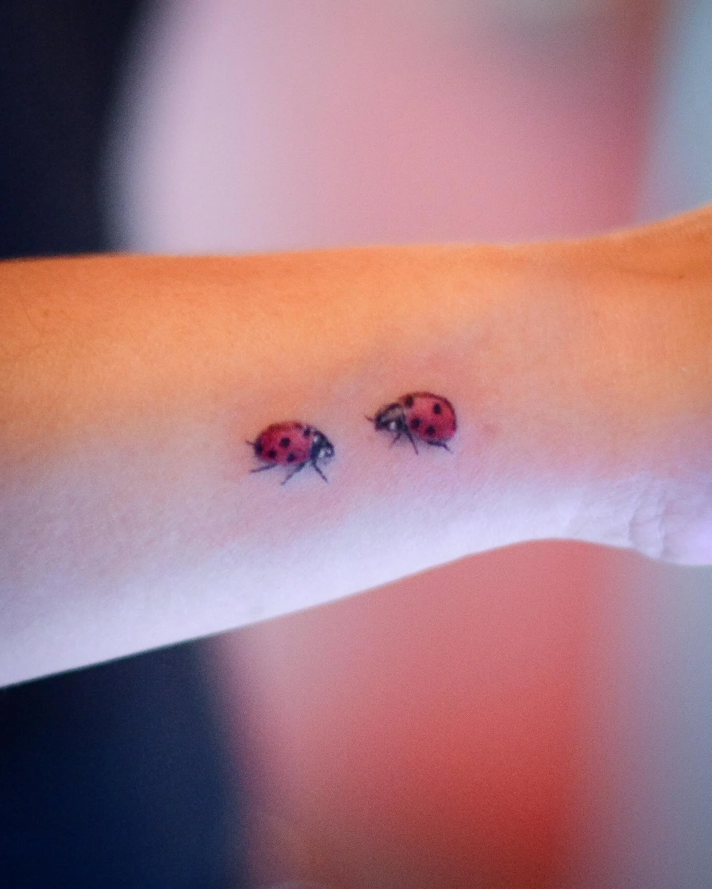 🐞🐞-booking link in bio. 
.
.
.
#tattoo #tattooing #tattooartwork #tattooidea #tattooartists #tattoonyc #tattooshop #ladybug #smalltattoo #tinytattoo #tattoodesigns #tattoolife #tattooist #art #bodyart #ink #inklife #inked #tattooed #纹身 #刺青 #문신 #타투