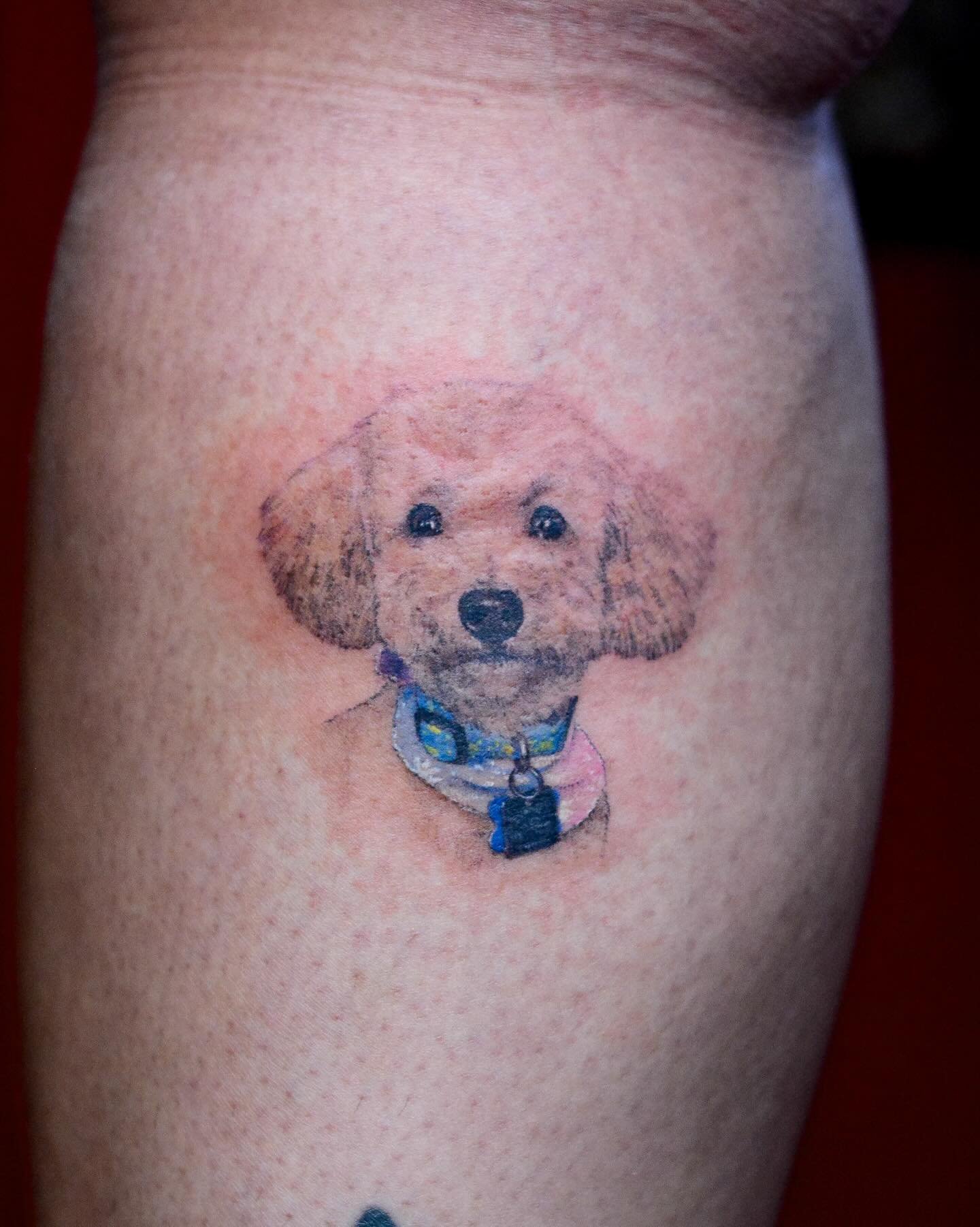 🐶-booking link in bio. 
.
.
.
#tattoo #dogsofinstagram #pet #tattooing #tattoolife