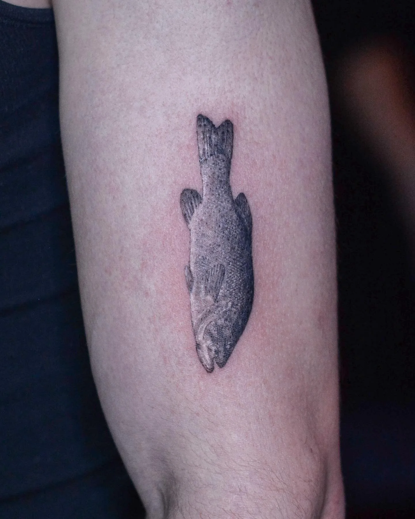 🐟-booking link is in my bio. 
.
.
.
#fish #tattoo #fishing #animaltattoo #tattooing