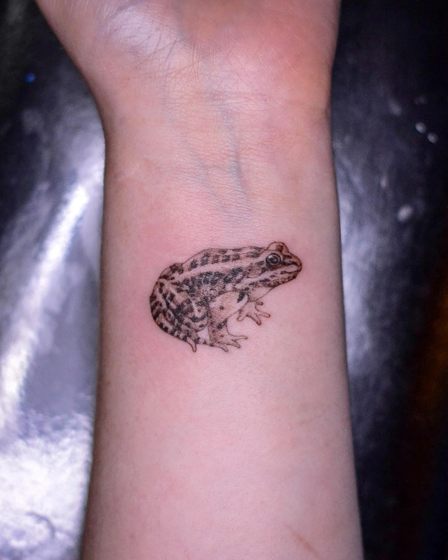 🐸- booking is in bio. 
.
.
.
#frogtattoo #tattoo #tattooing #animaltattoo #tattooist