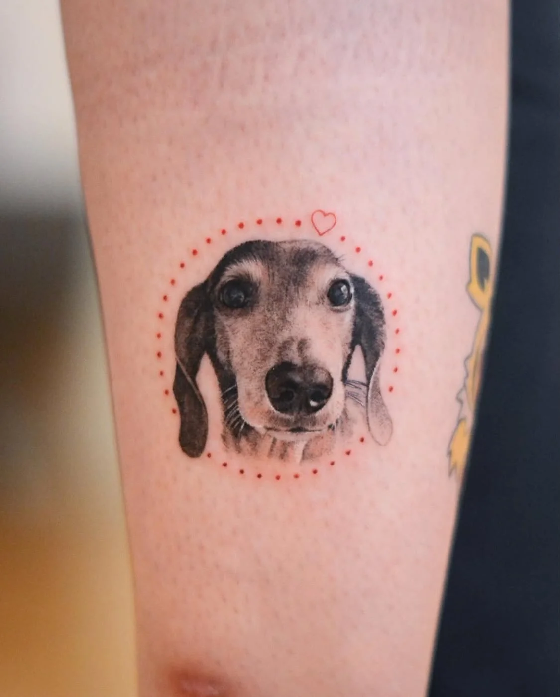 Dog tattoos 🐶🐕🦮🐩🐕&zwj;🦺🐾🦴 (1-10) 
&bull;NYC bookings open 
&bull;CA-April 21-28 
Booking link is in my bio. 
.
.
.
#pettattoo #dogtattoo #guestwork #tattooidea #cutetattoo